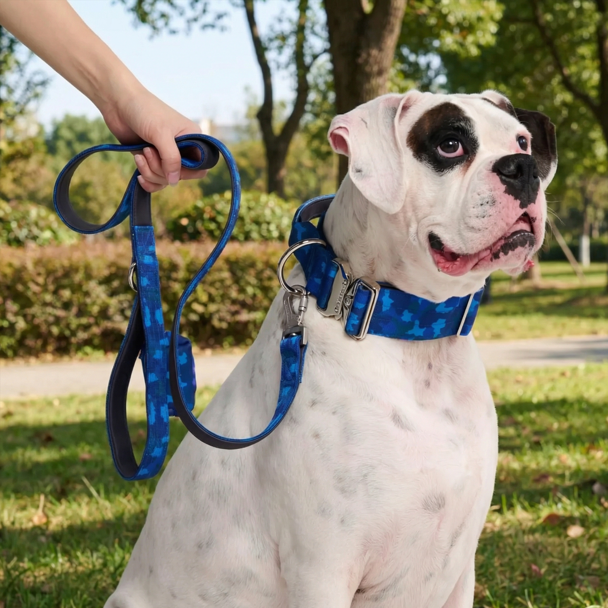 Comfort Control Collar Set - Blue Camo - Image 7