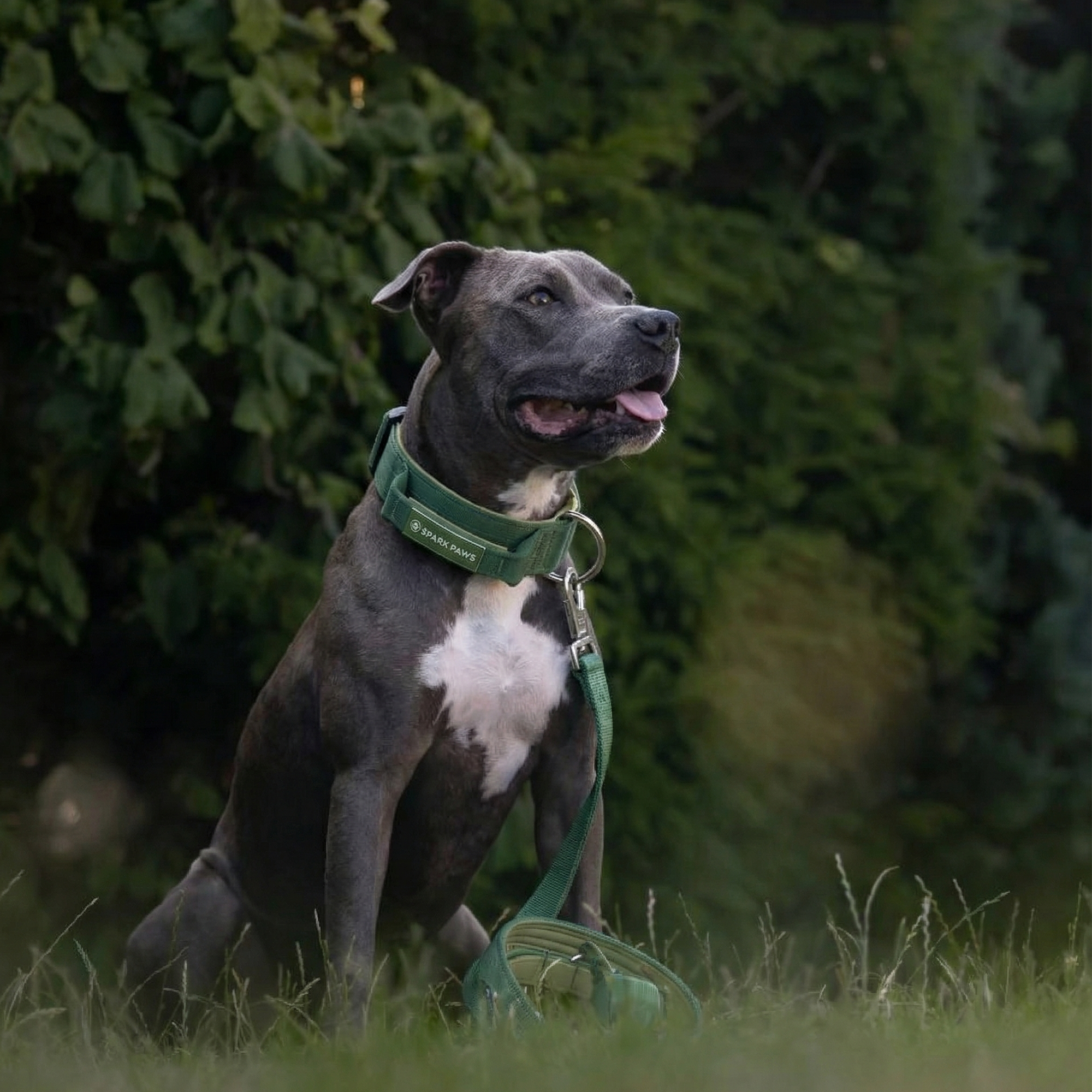 Comfort Control Collar Set - Army Green - Image 7