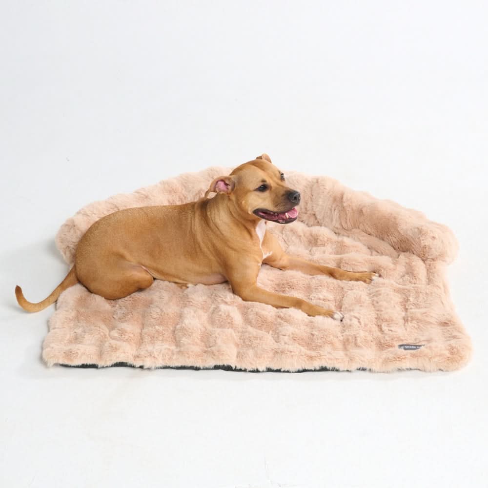 Calming Fluffy Couch Cover Dog Bed - Beige - Image 2