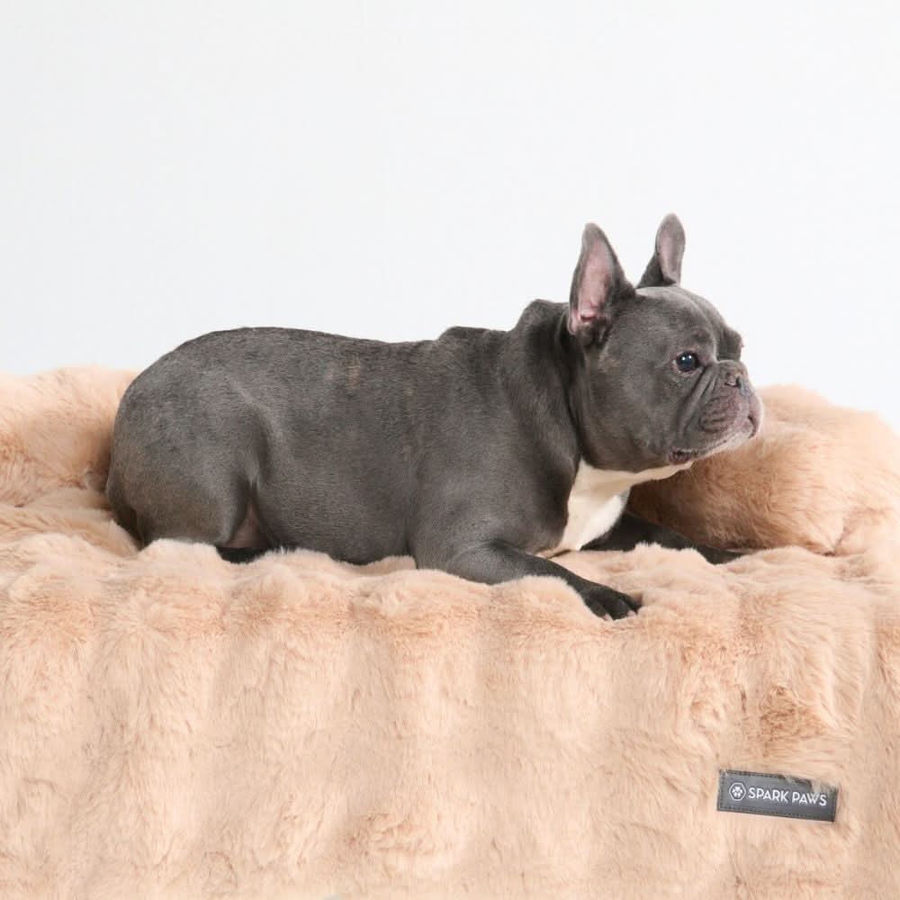 Calming Fluffy Couch Cover Dog Bed - Beige - Image 3