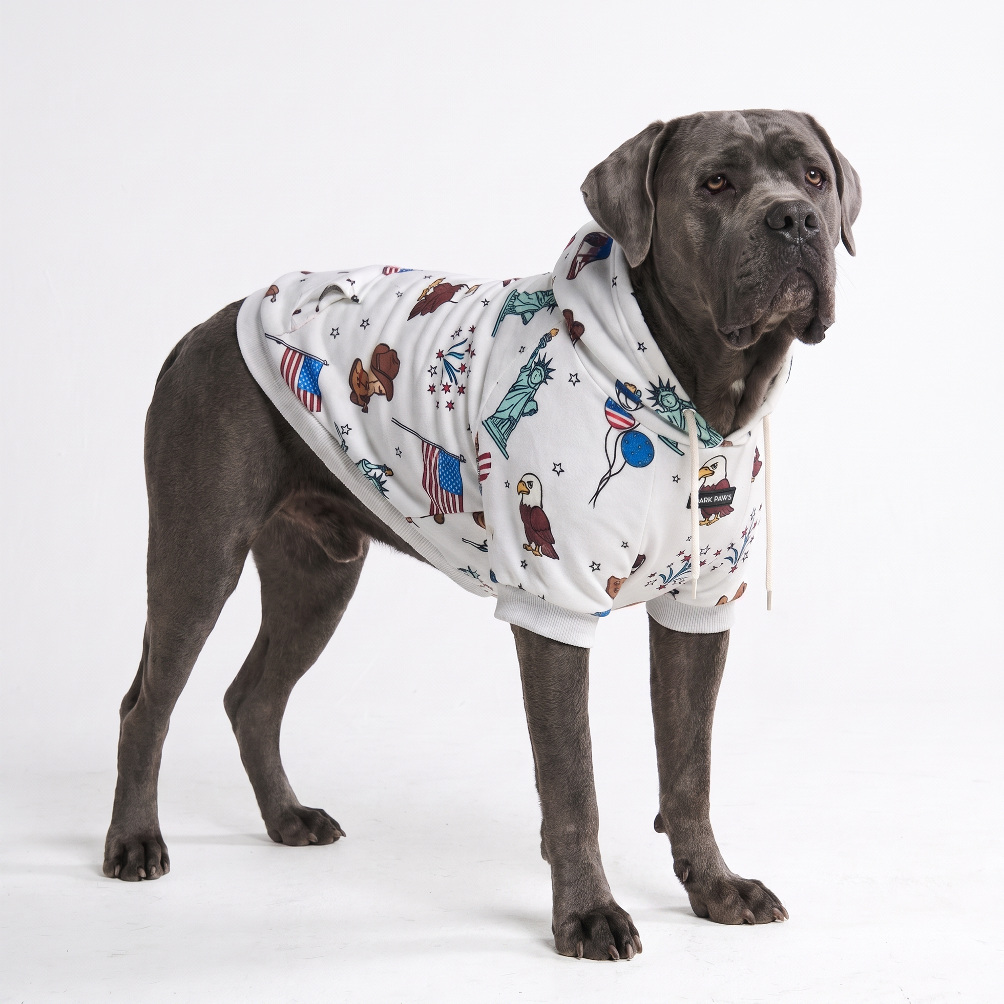 Around the World Dog Hoodies - Image 7