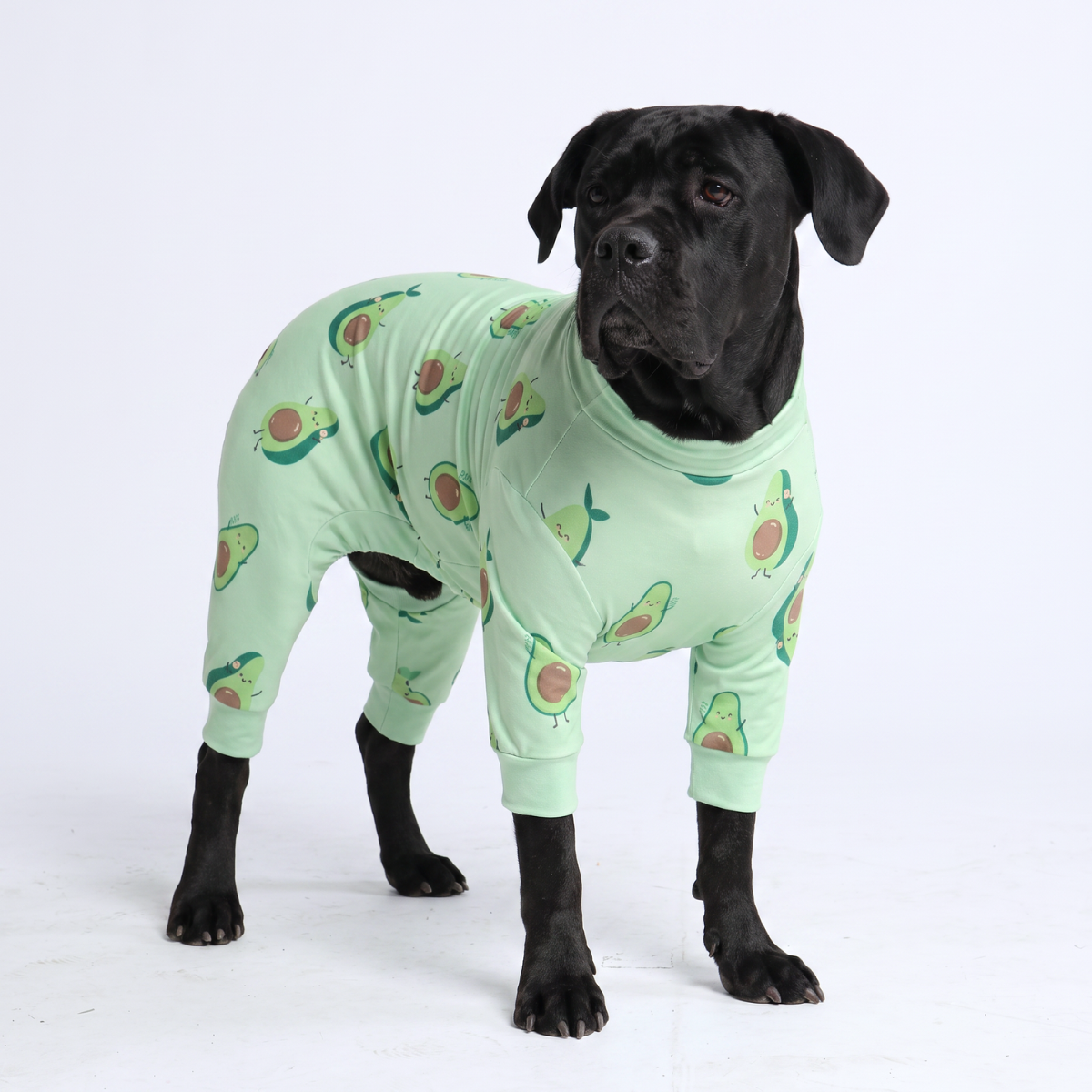 Dog Pajama - Avocado - Image 7