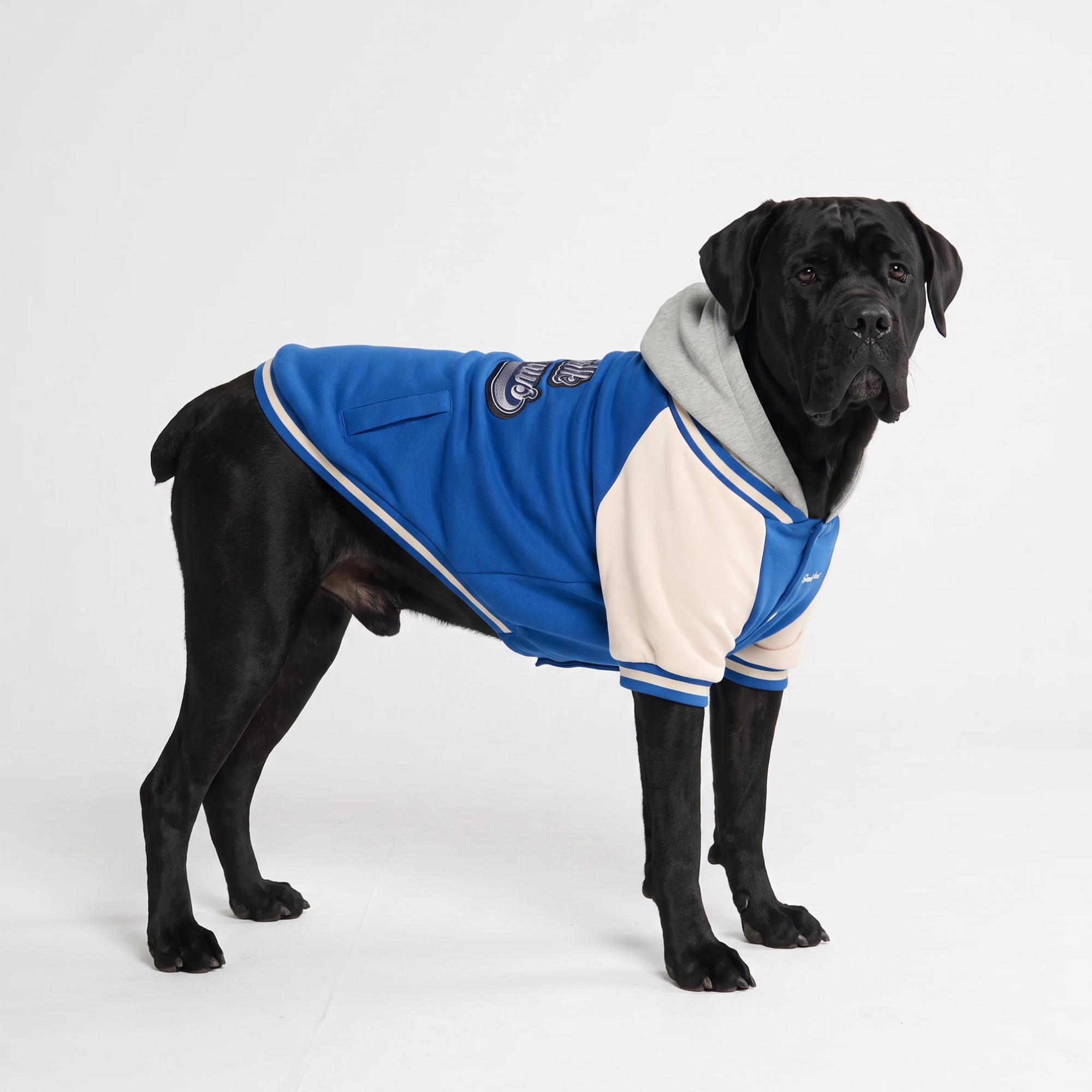 Dog Varsity Jacket - Blue - Image 7