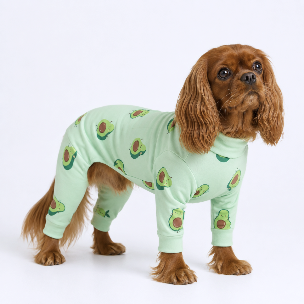 Dog Pajama - Avocado - Image 4