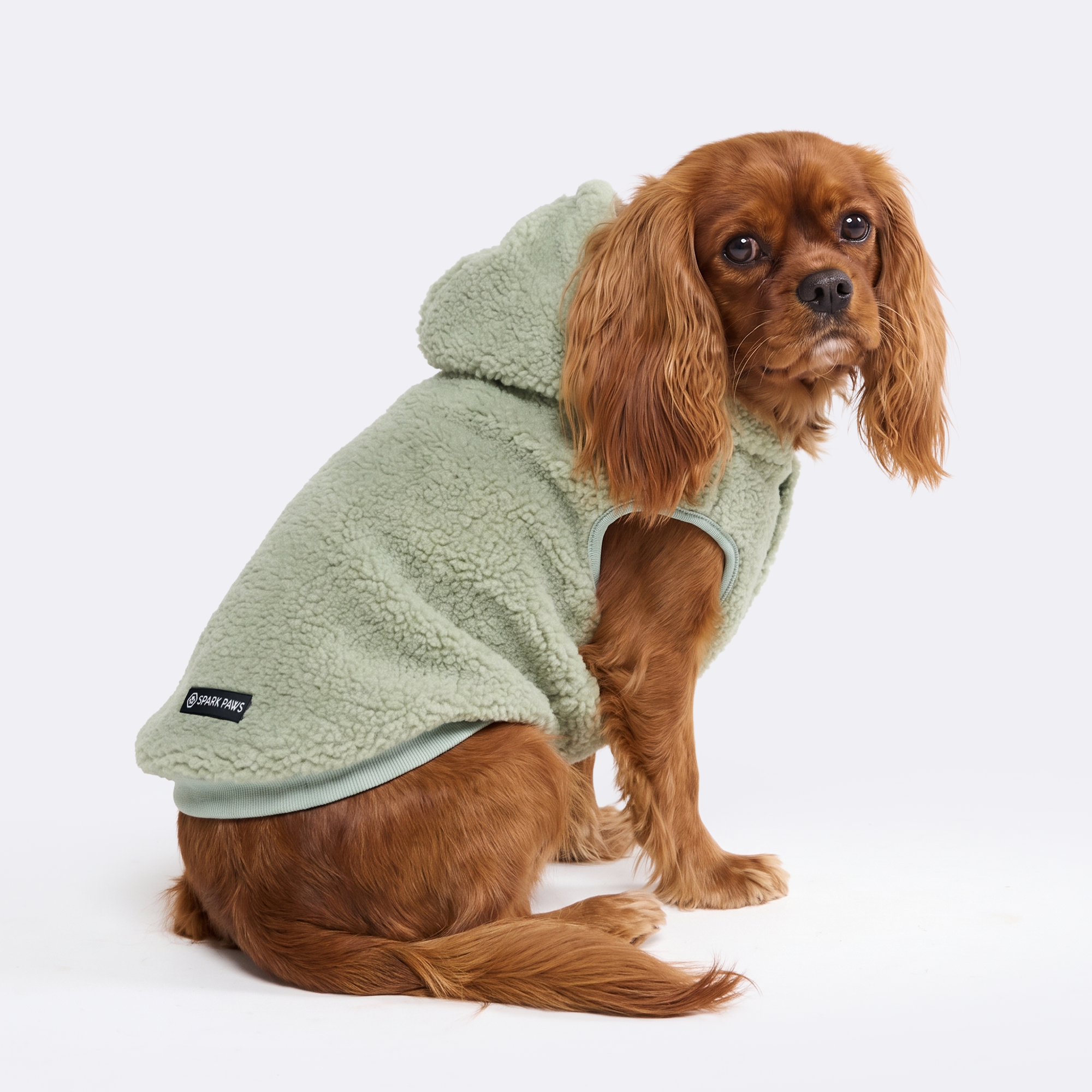 Teddy Sherpa Dog Jacket - Light Green - Image 4