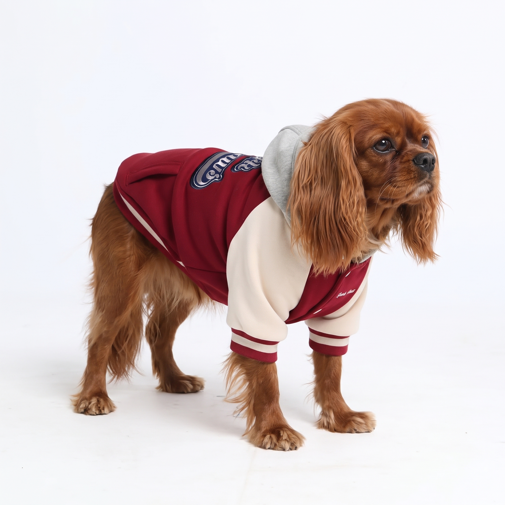Dog Varsity Jacket - Red - Image 3