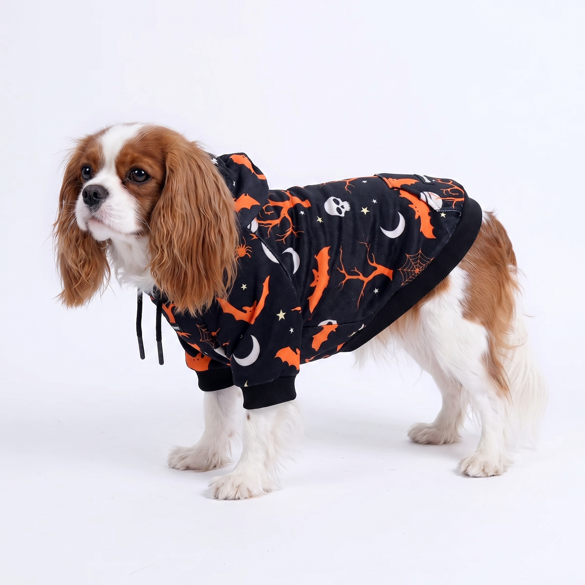 Halloween Dog Hoodie - Black - Image 3
