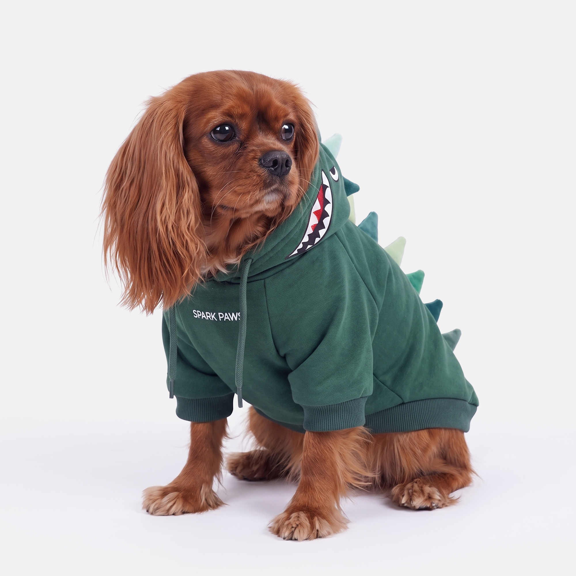 Halloween Dog Hoodie - Dinosaur - Image 4