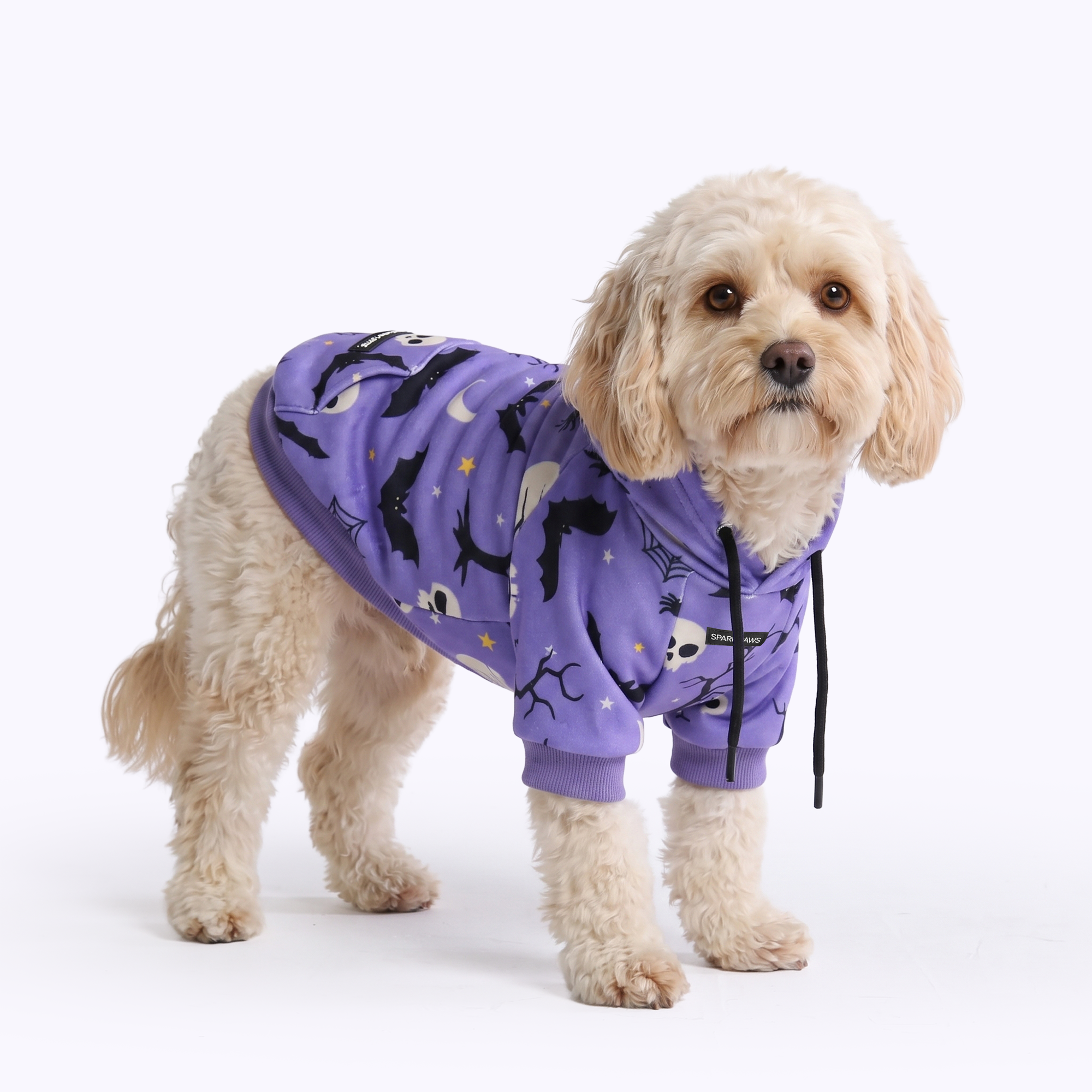 Halloween Dog Hoodie - Purple - Image 3