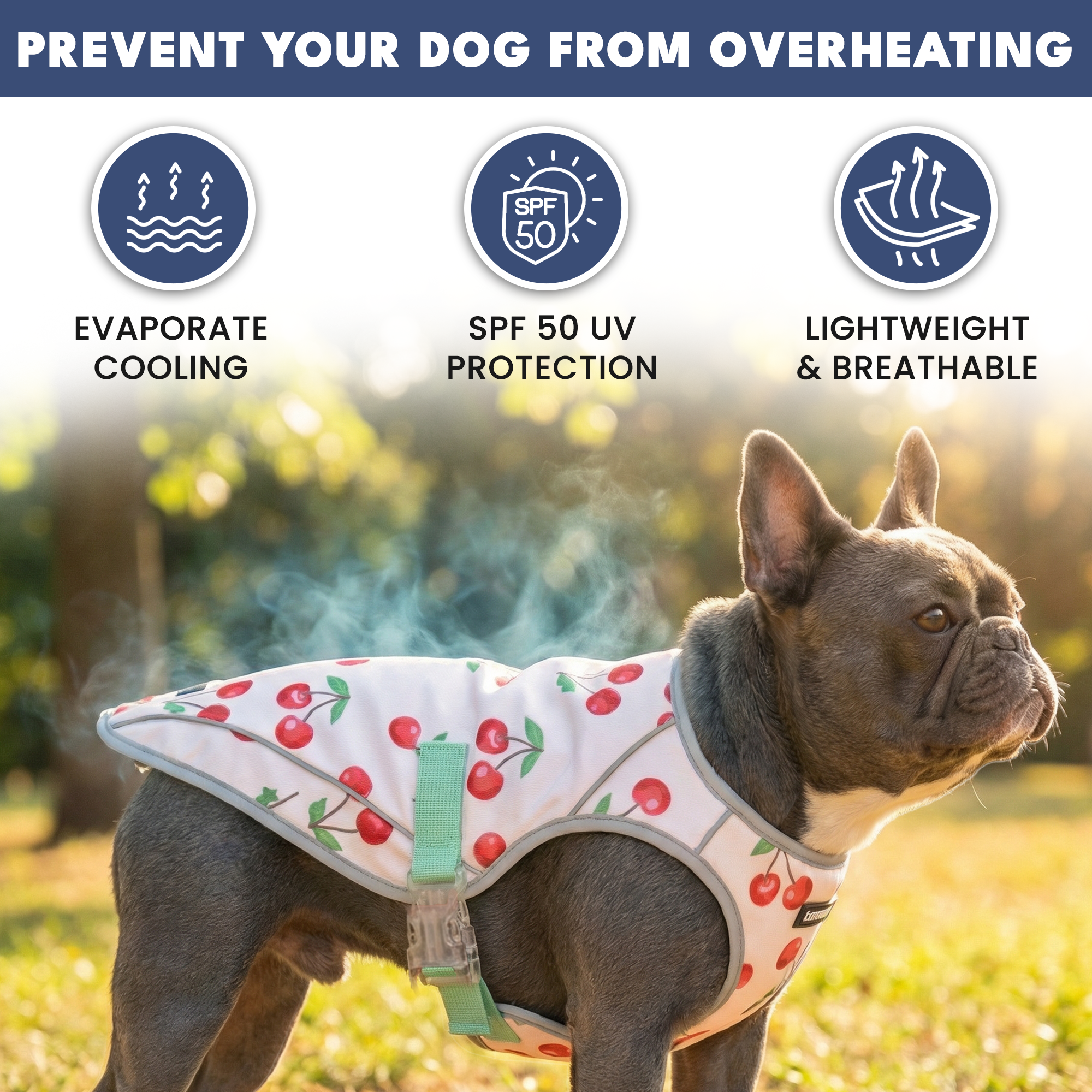 Dog Cooling Vest (2-pack) - Cherries & Watermelon - Image 2