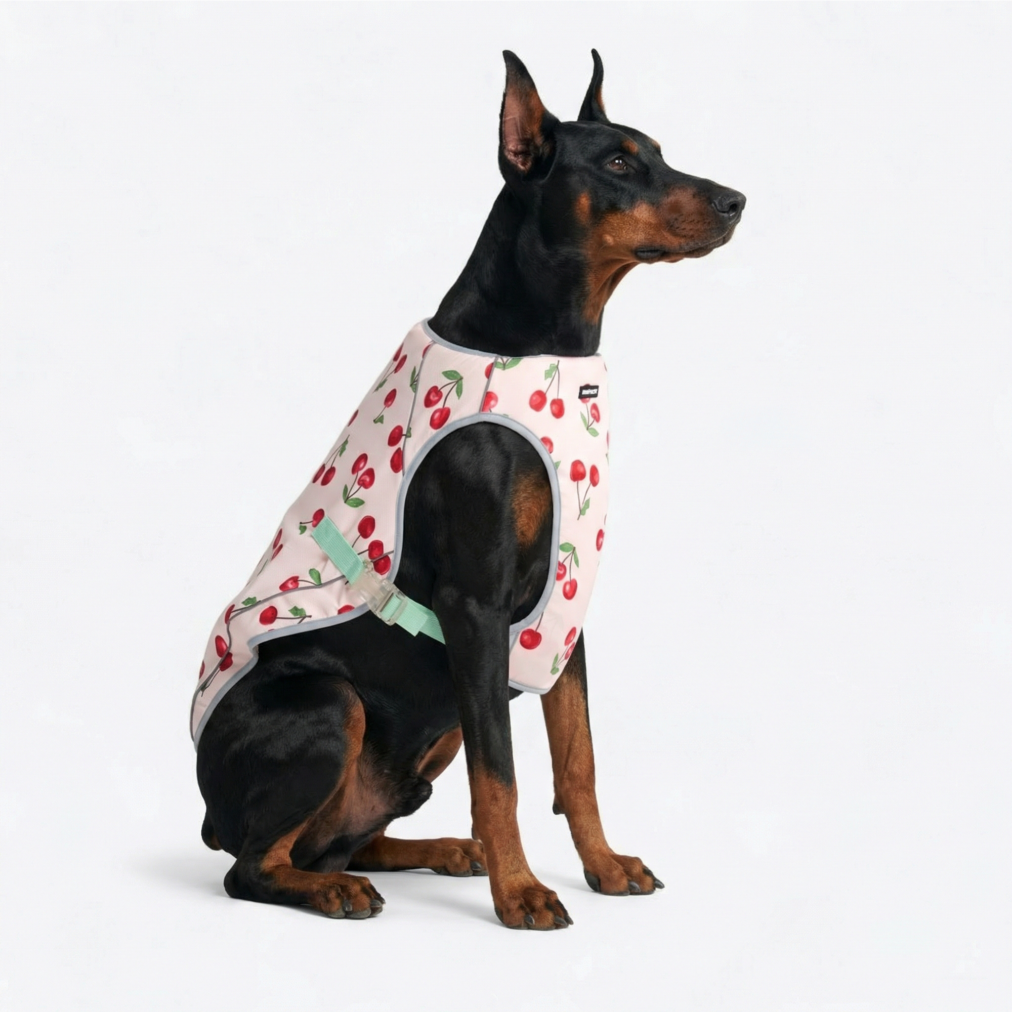Dog Cooling Vest - Cherries - Image 4