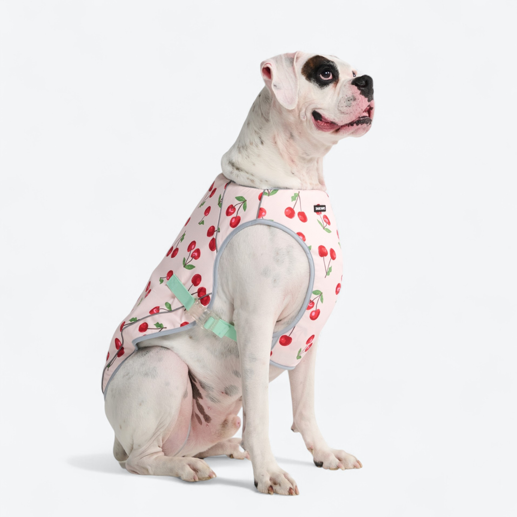 Dog Cooling Vest - Cherries - Image 2
