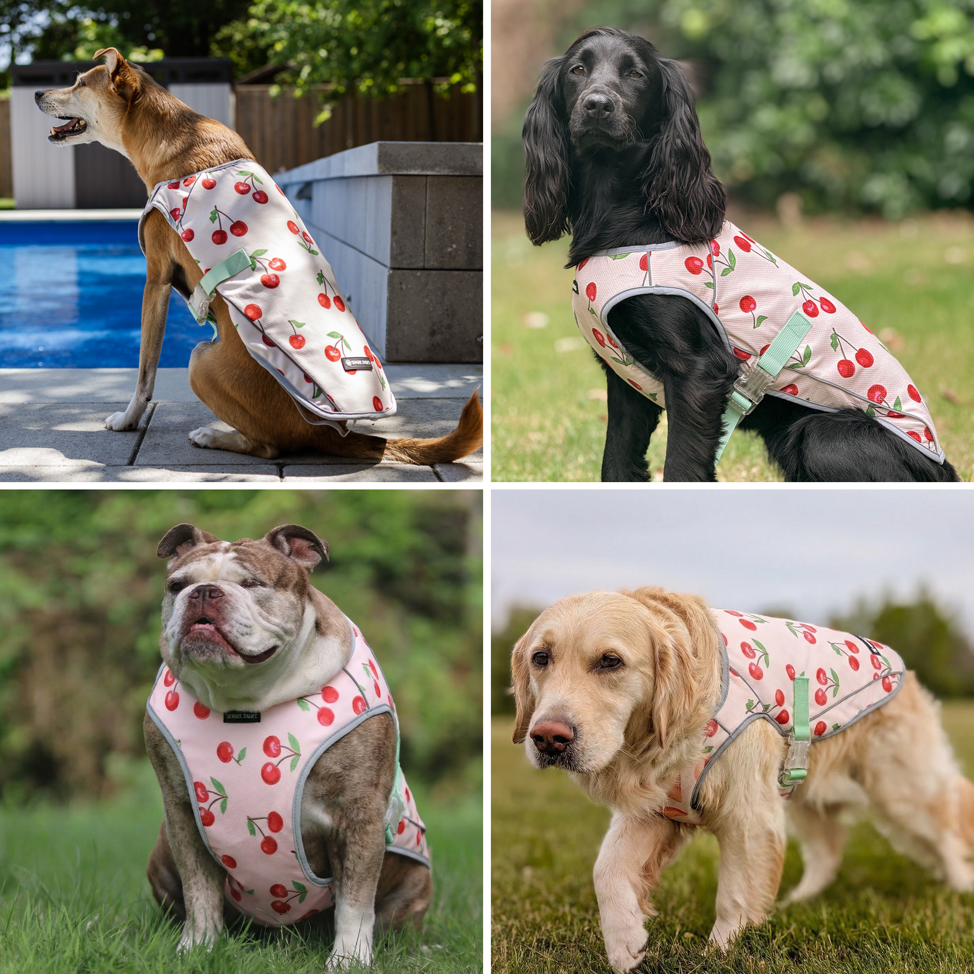 Dog Cooling Vest - Cherries - Image 9