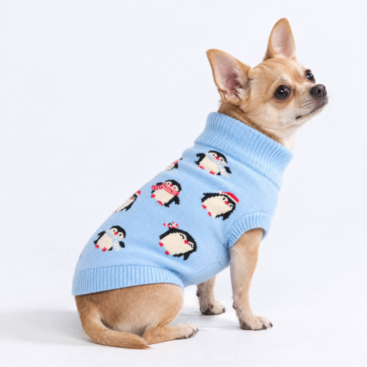 Dog Sweater - Penguins - Image 2