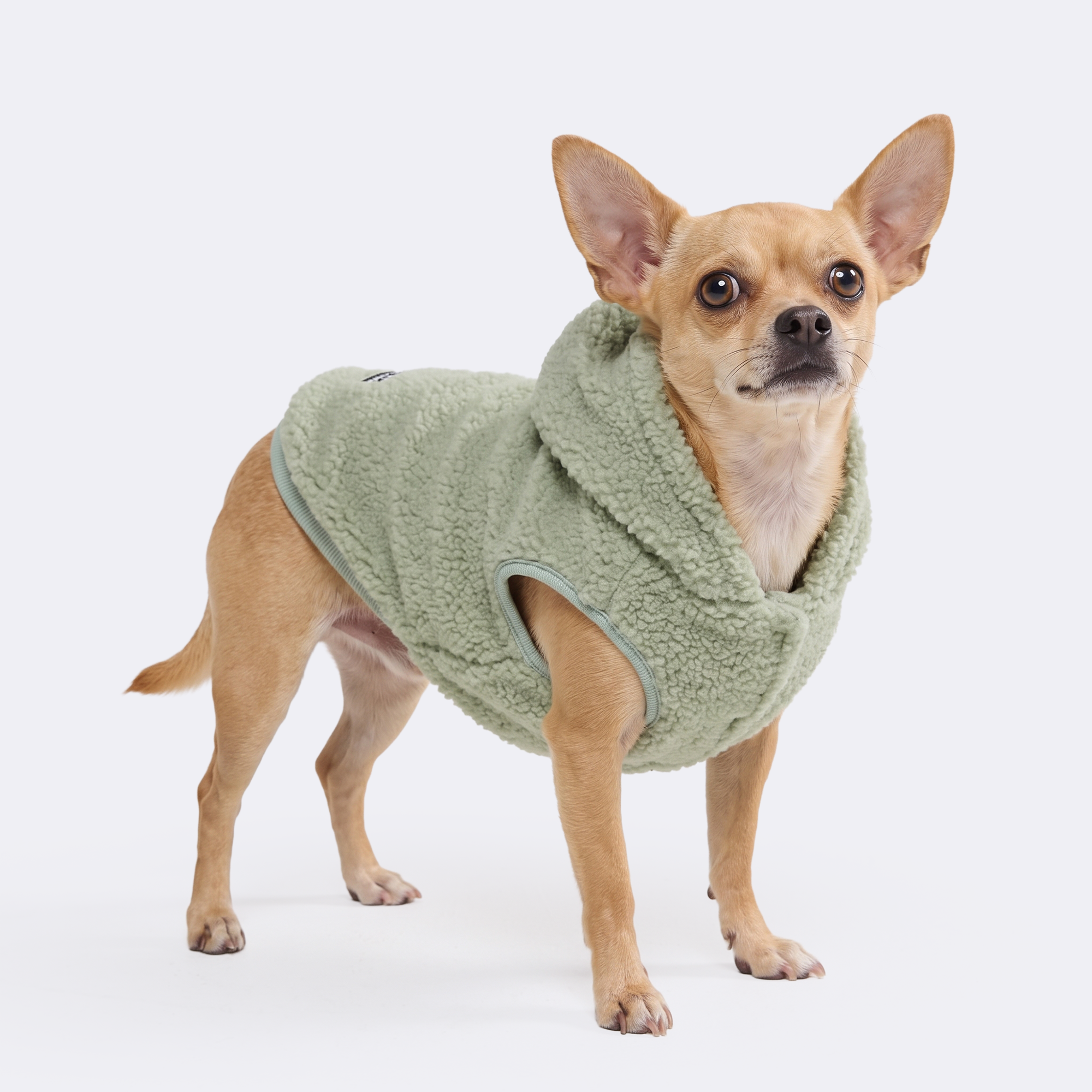 Teddy Sherpa Dog Jacket - Light Green - Image 2