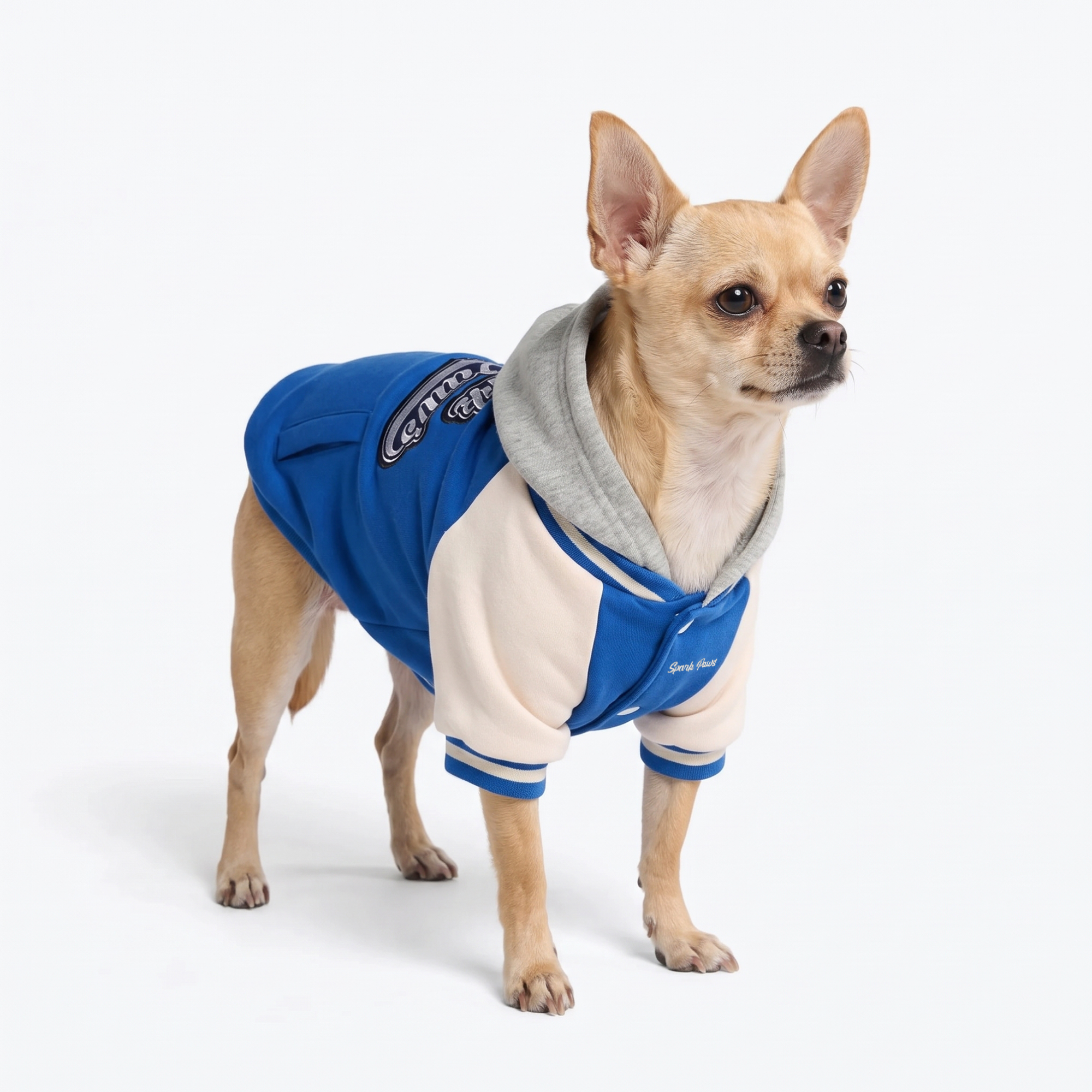 Dog Varsity Jacket - Blue - Image 2