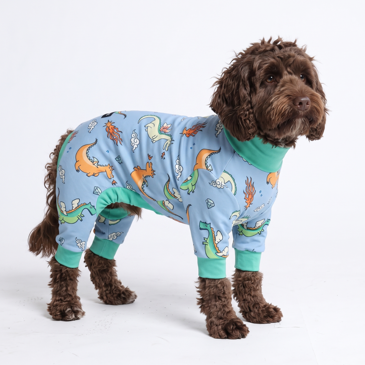 Dog Pajama - Dragons - Image 4