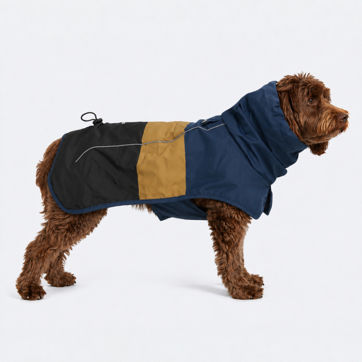 Breatheshield™ Dog Raincoat - Blue Gold Black - Image 3