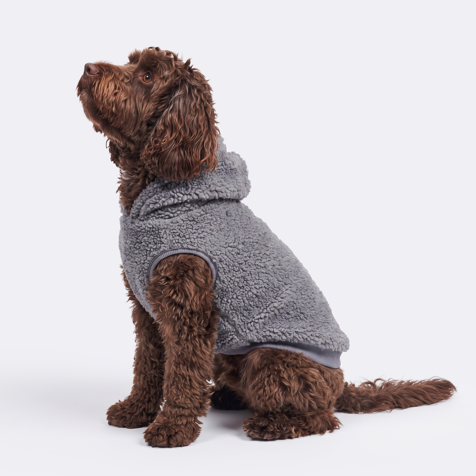 Teddy Sherpa Jacket - Grey - Image 4