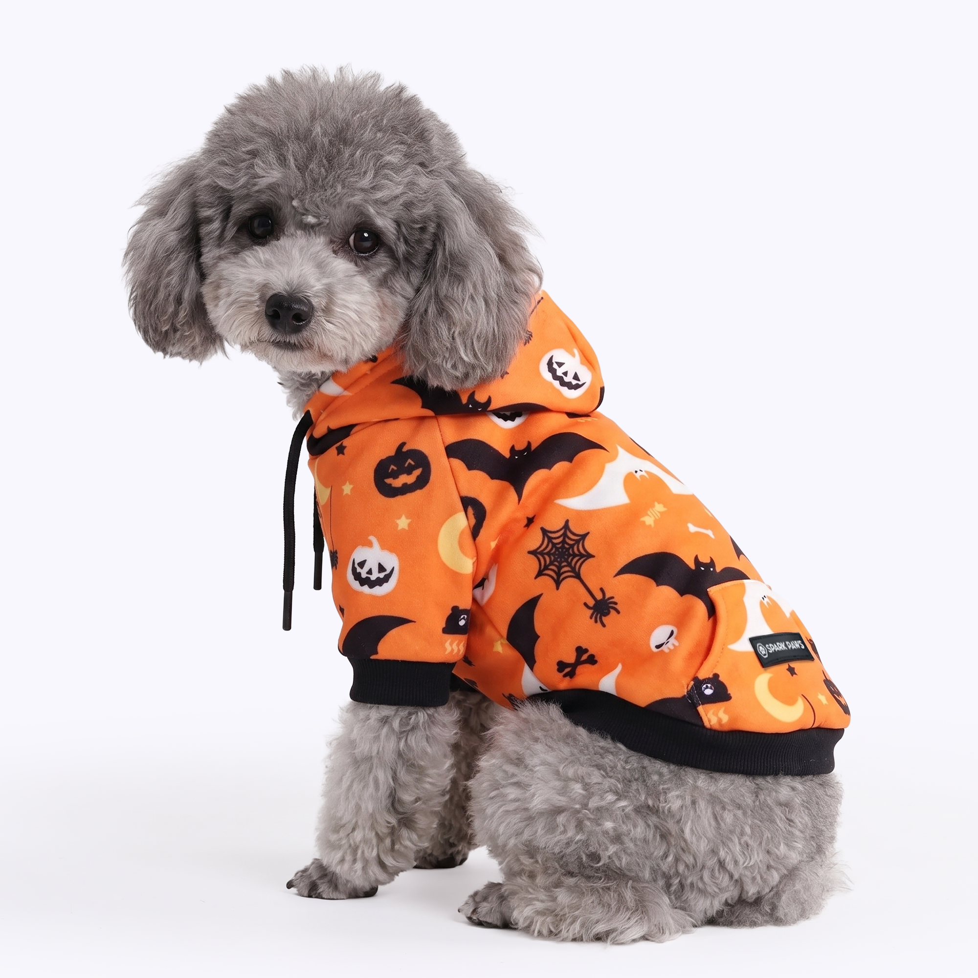 Halloween Dog Hoodie - Orange - Image 3
