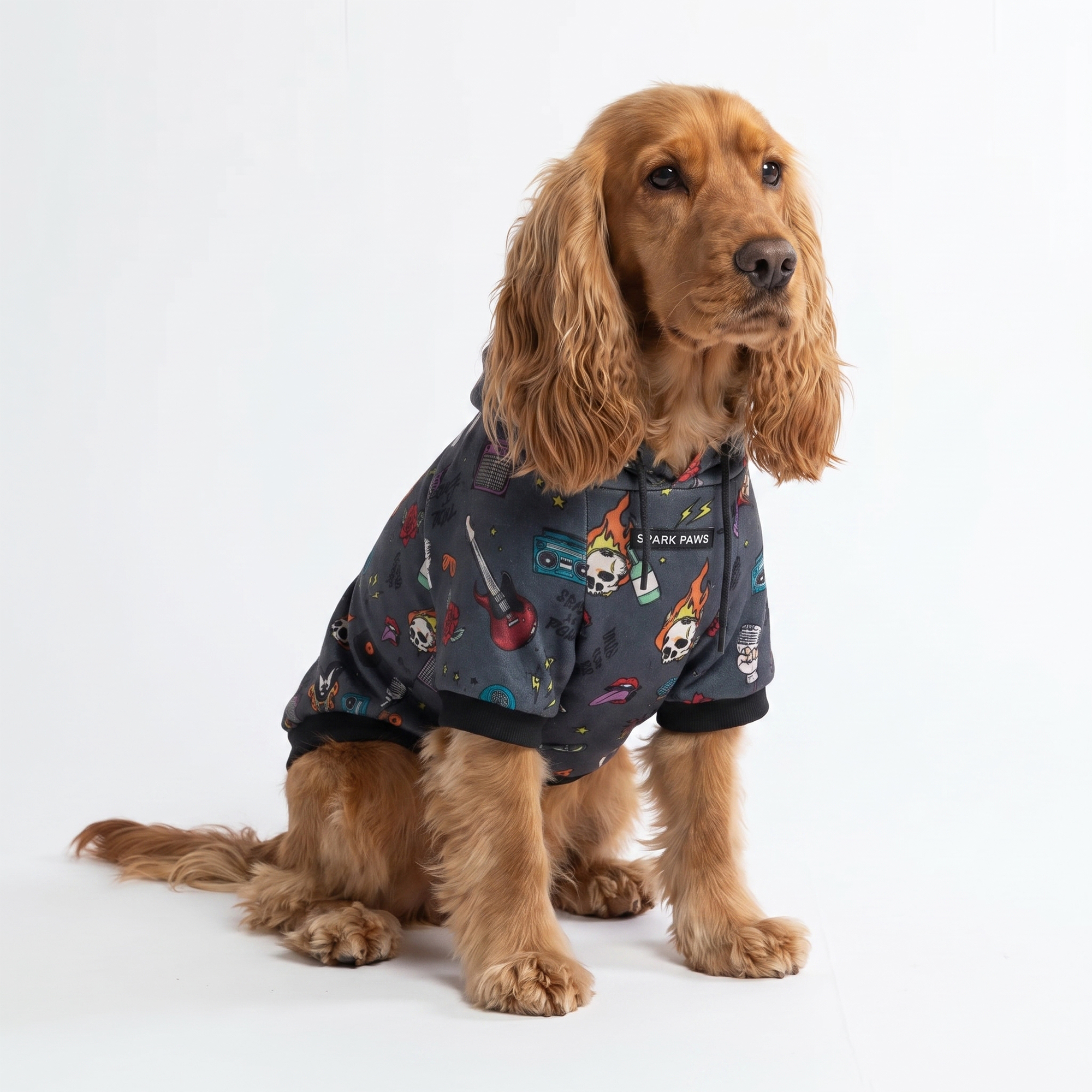 Rock and Roll Dog Hoodie - Image 4