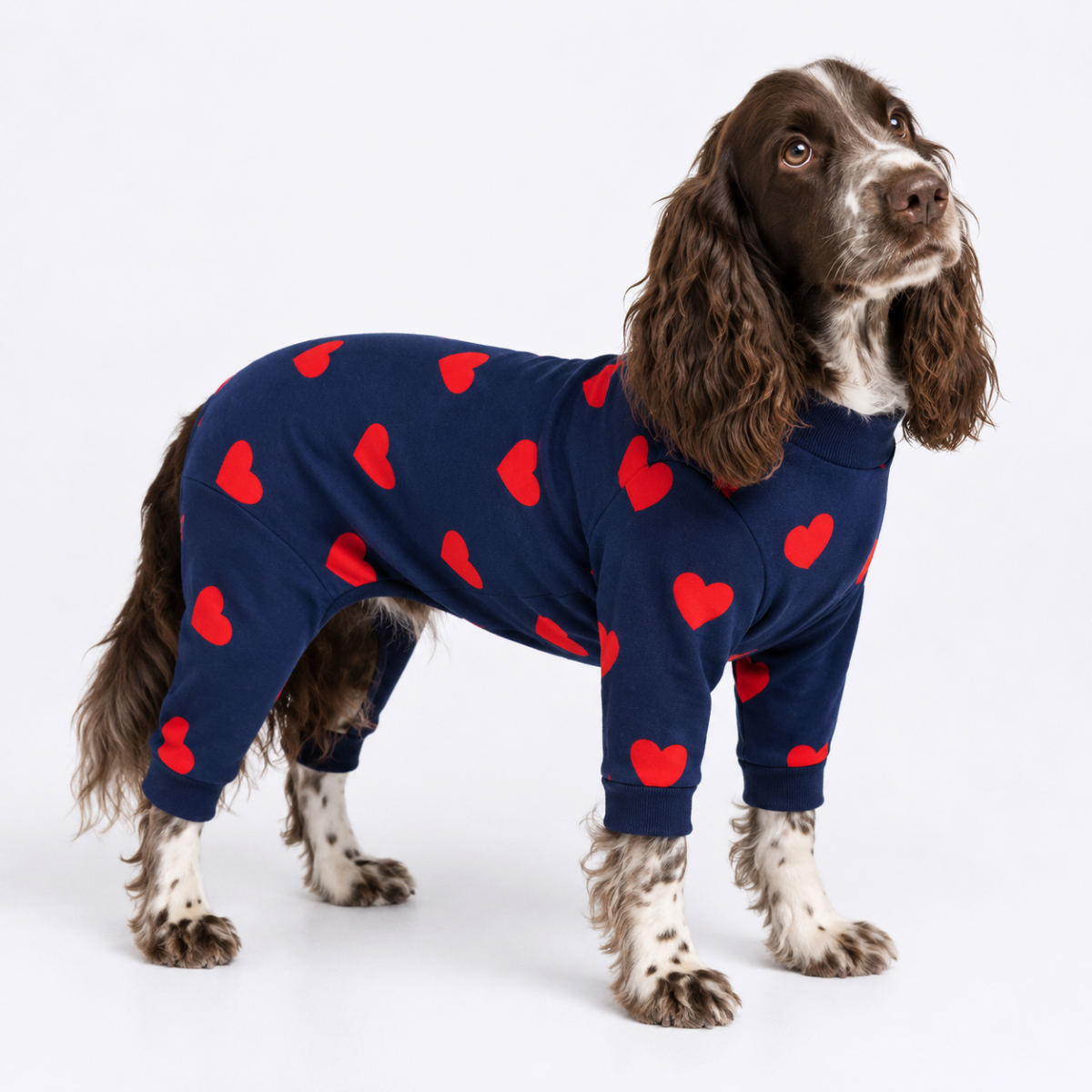 Dog Pajama - Hearts - Image 5
