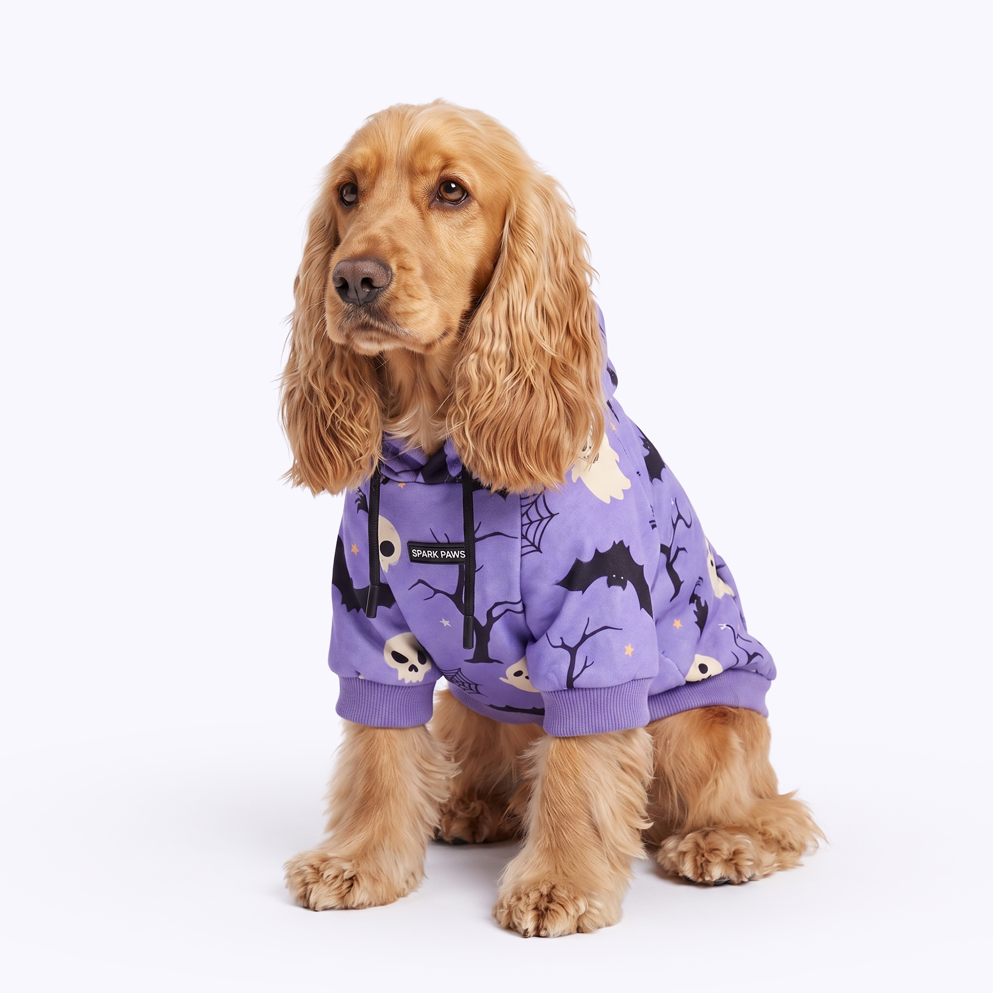 Halloween Dog Hoodie - Purple - Image 4
