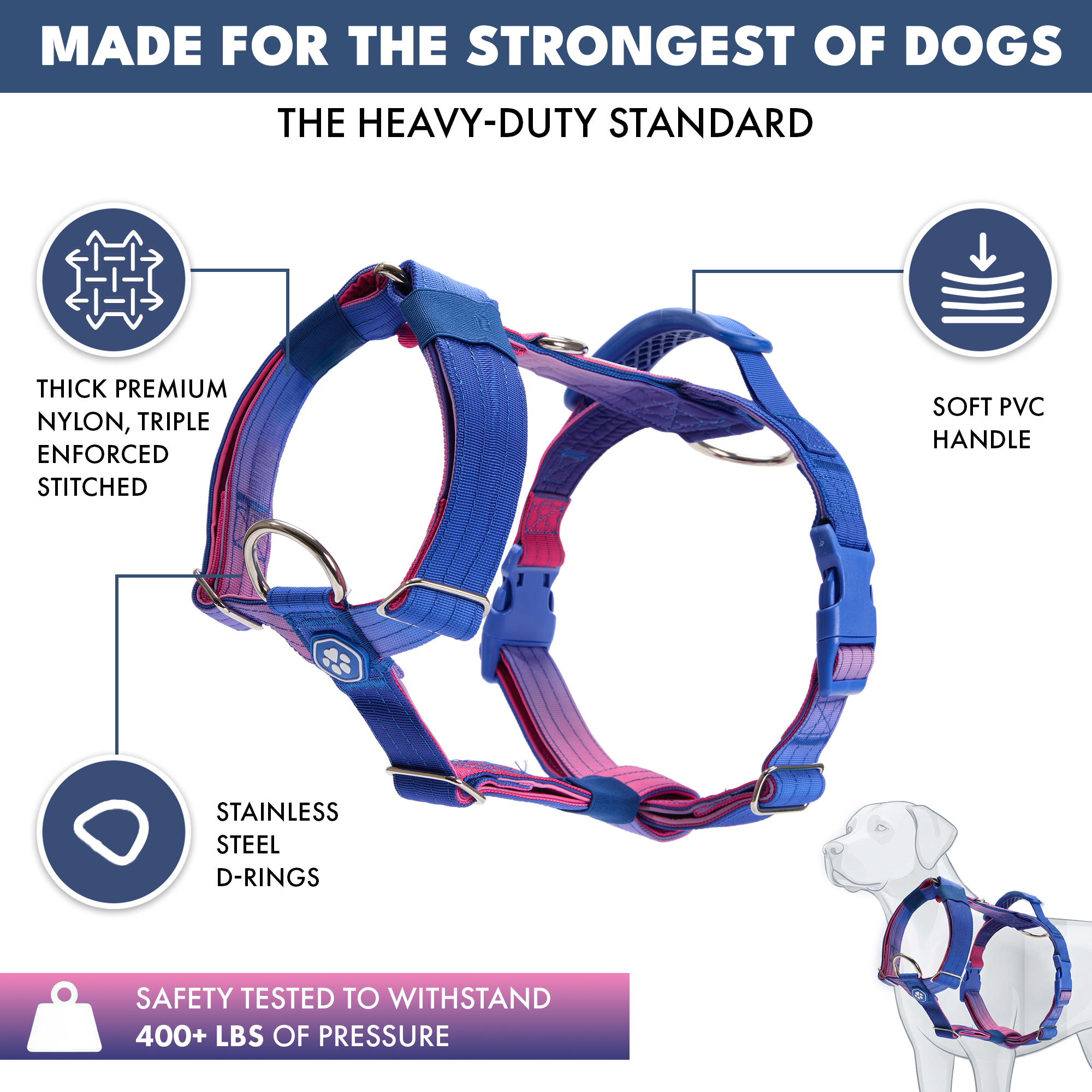 Comfort Control No-Pull Dog Harness Set - Snow Cone - Image 2