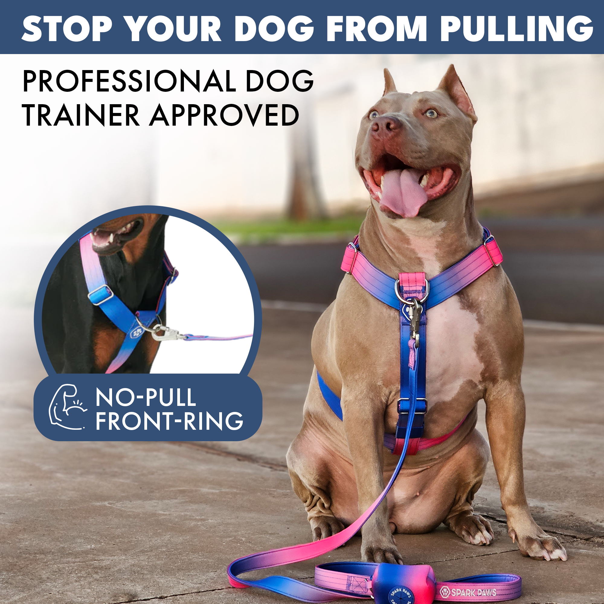 Comfort Control No-Pull Dog Harness Set - Snow Cone - Image 3