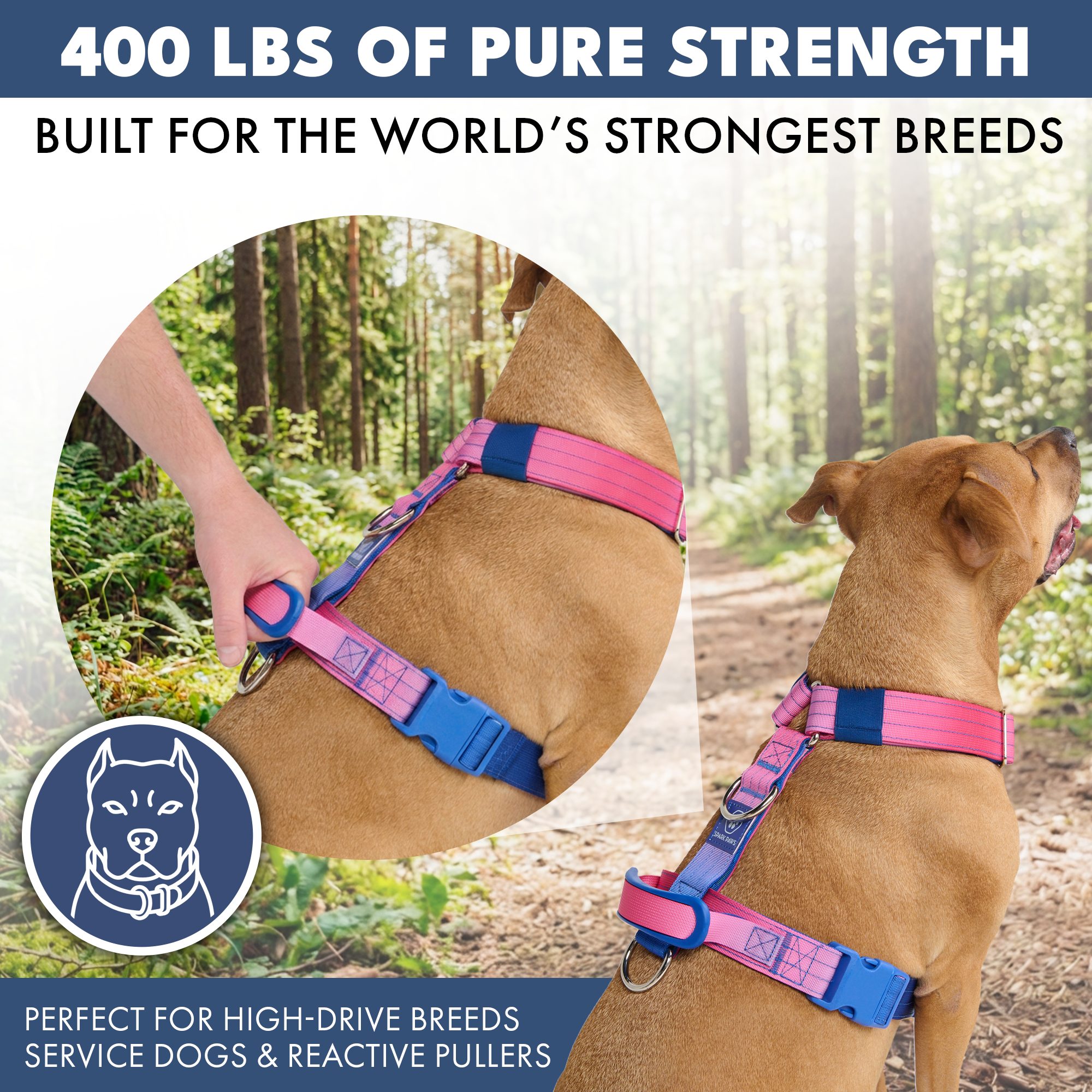 Comfort Control No-Pull Dog Harness Set - Snow Cone - Image 4