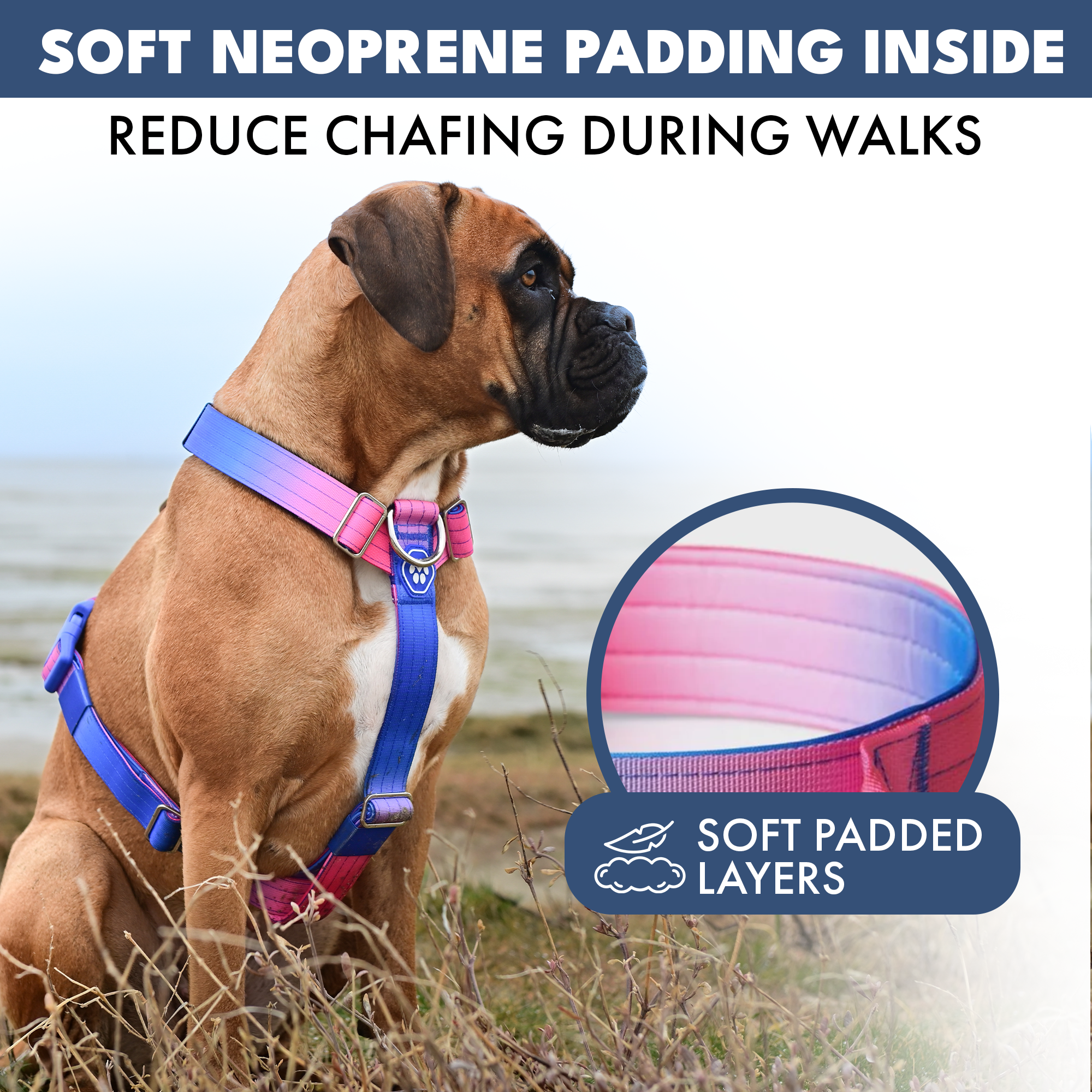 Comfort Control No-Pull Dog Harness Set - Snow Cone - Image 5