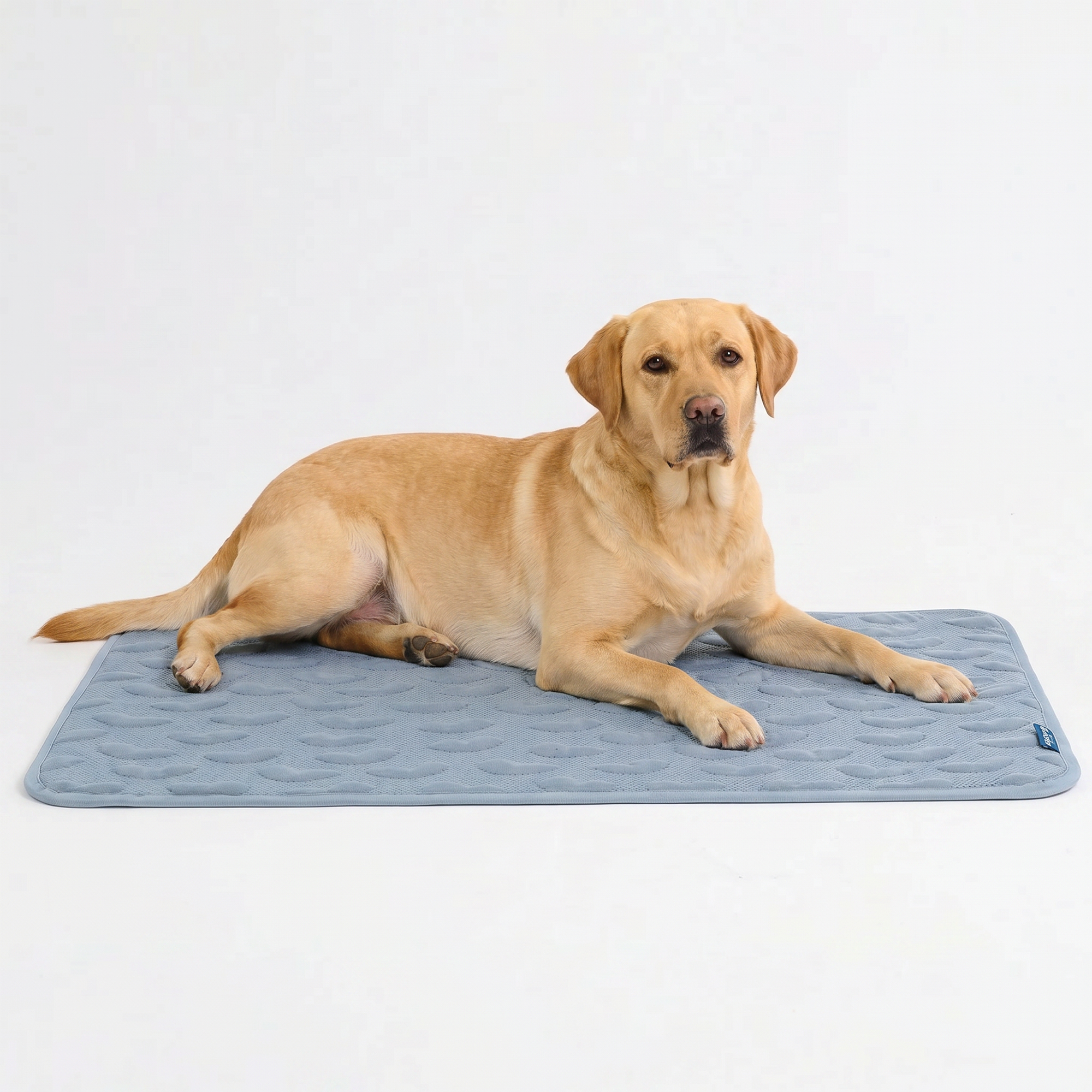 Frostcore™ Cooling Mat - Hearts Ash Blue - Image 5