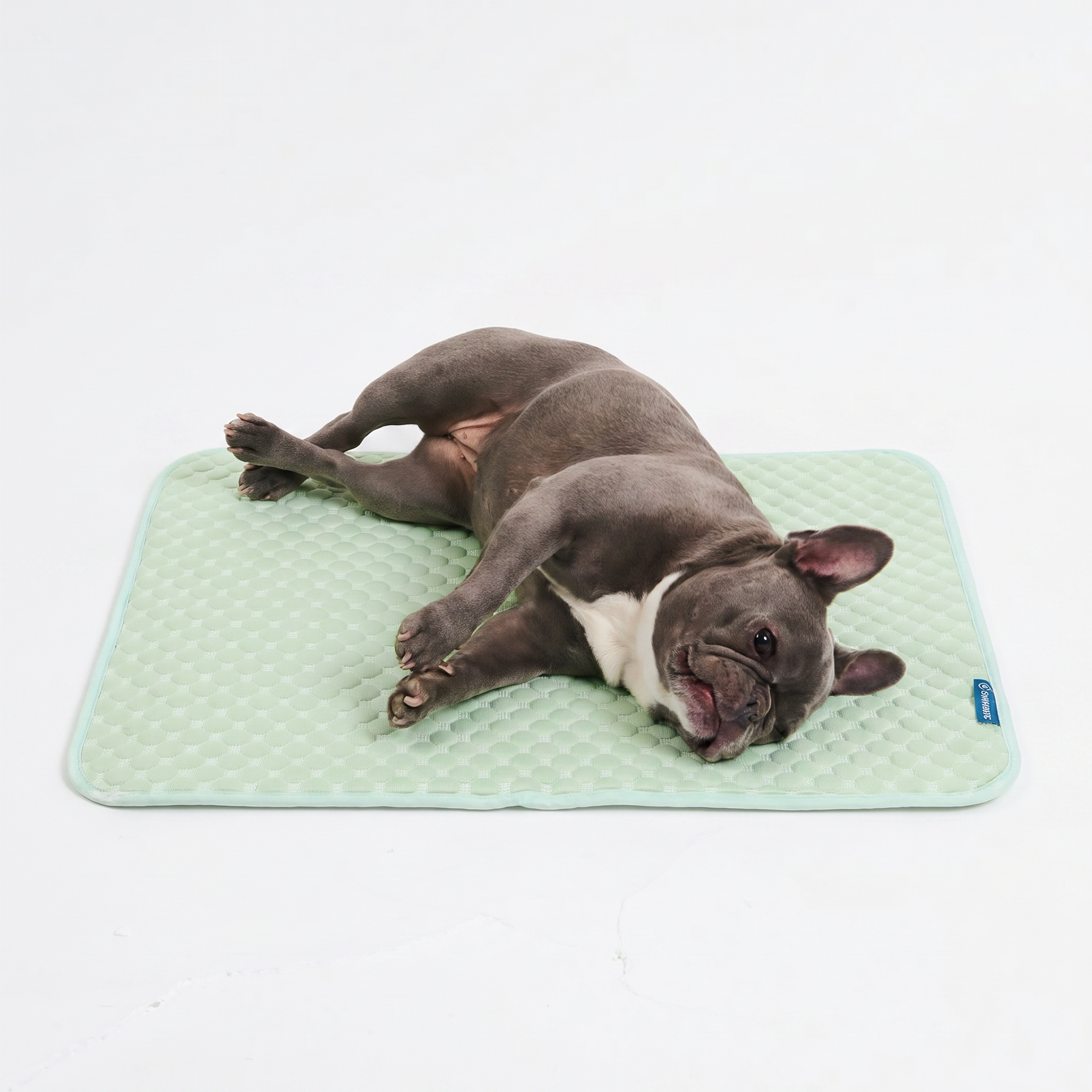 Frostcore™ Cooling Mat - Orb Green - Image 3