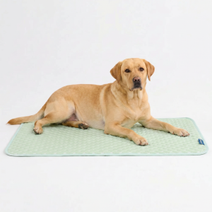 Frostcore™ Cooling Mat - Orb Green