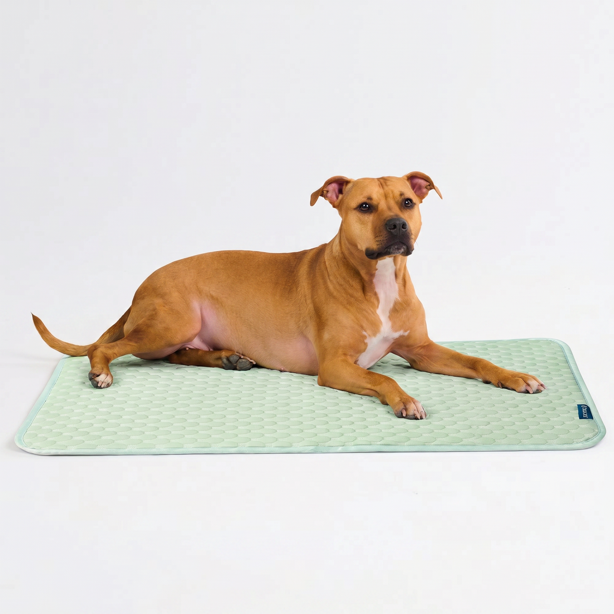 Frostcore™ Cooling Mat - Orb Green - Image 4