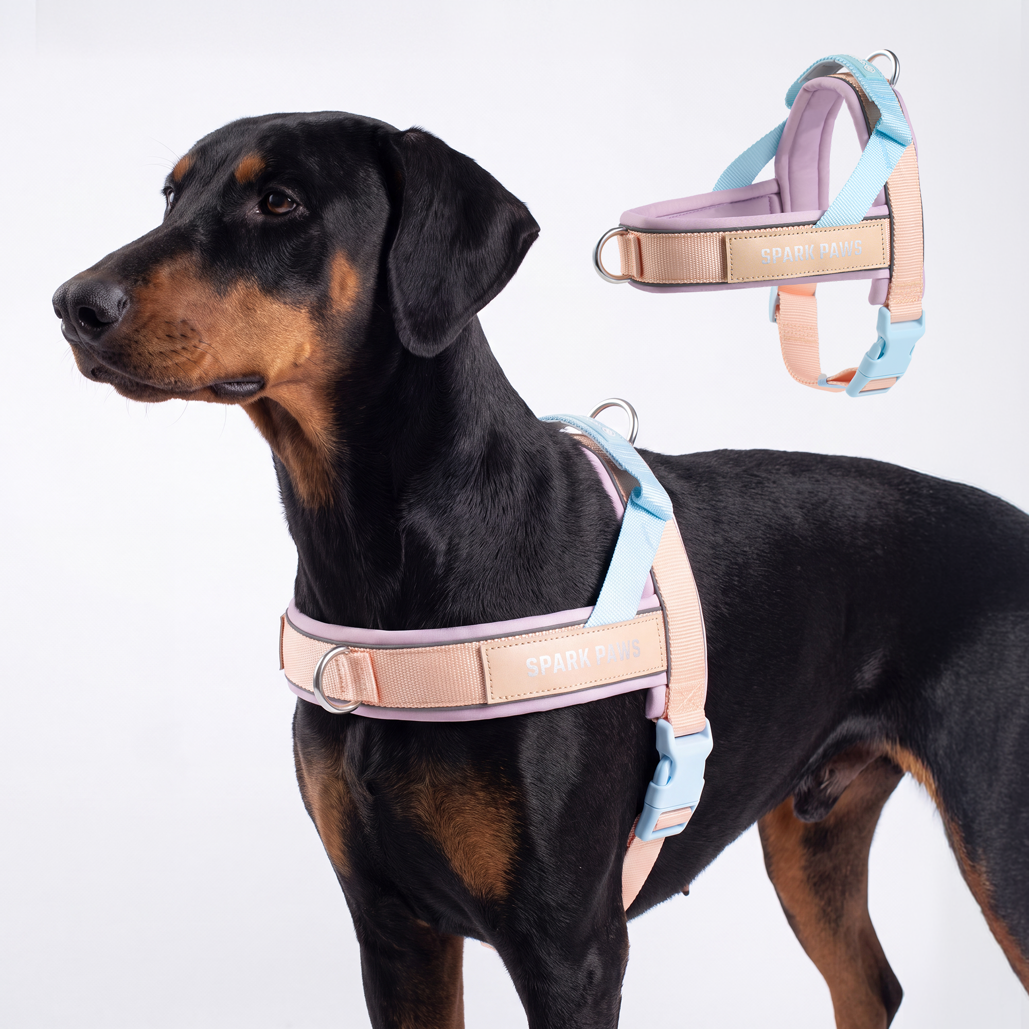 Grab & Go Harness - Cotton Candy - Image 6