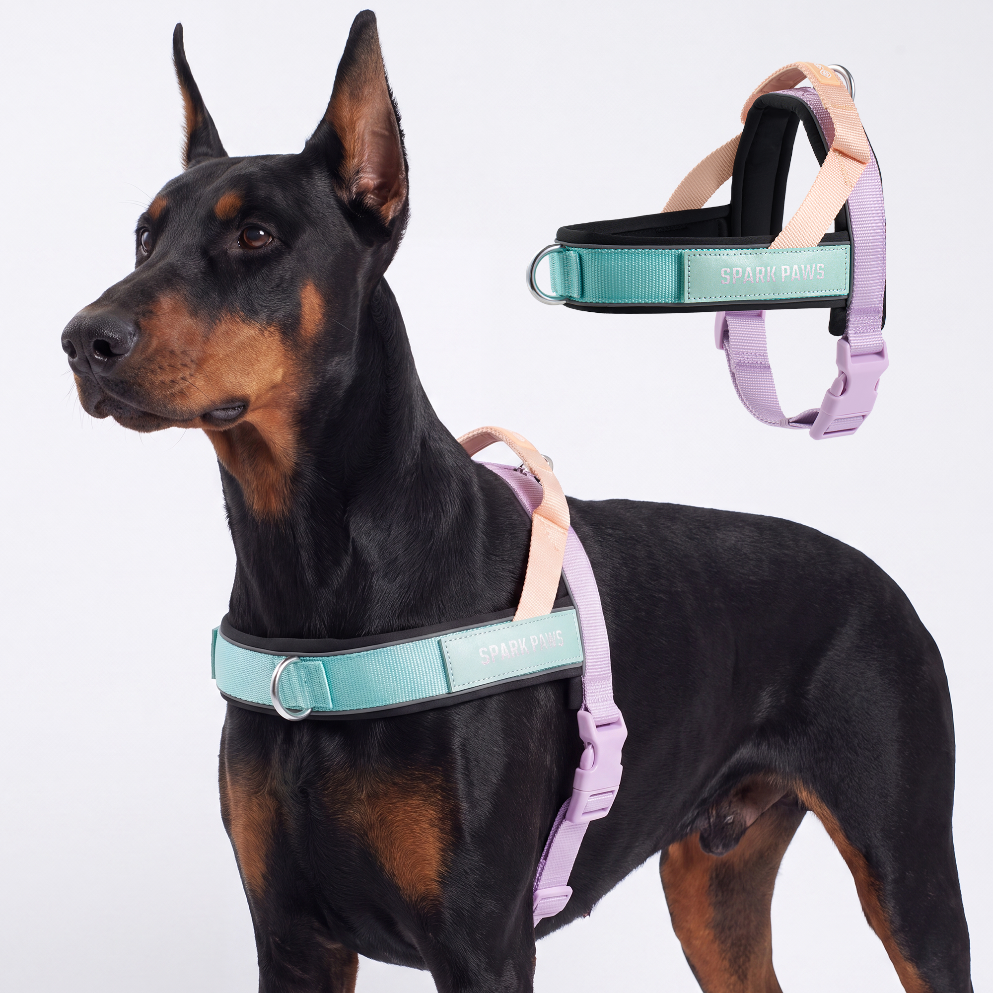Grab & Go Harness - Cyber Punk - Image 6
