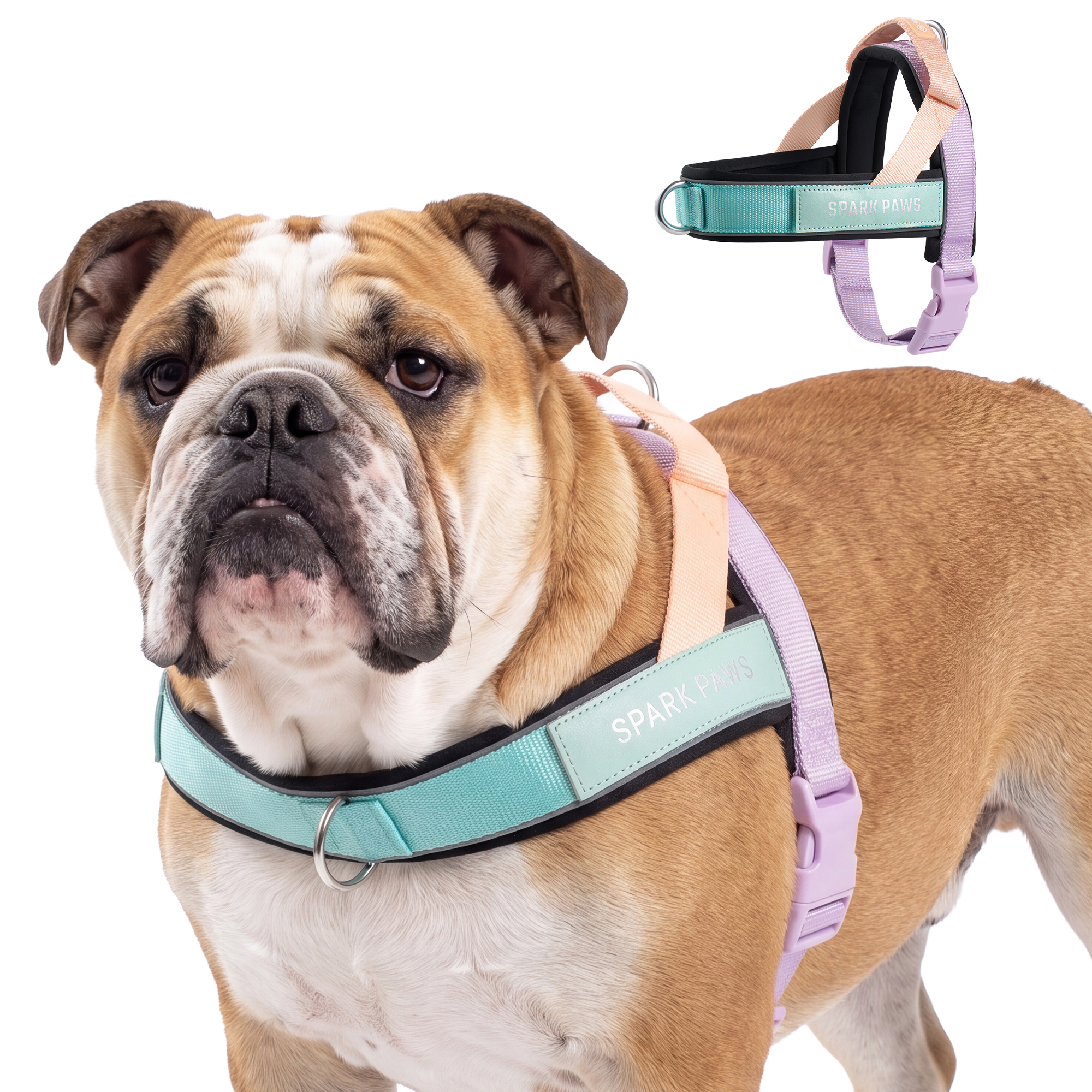 Grab & Go Harness - Cyber Punk - Image 4