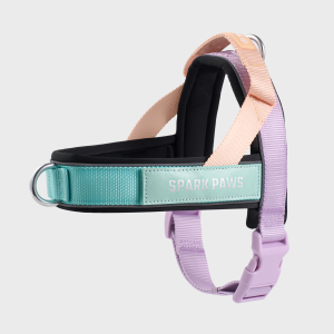 Grab & Go Harness - Cyber Punk