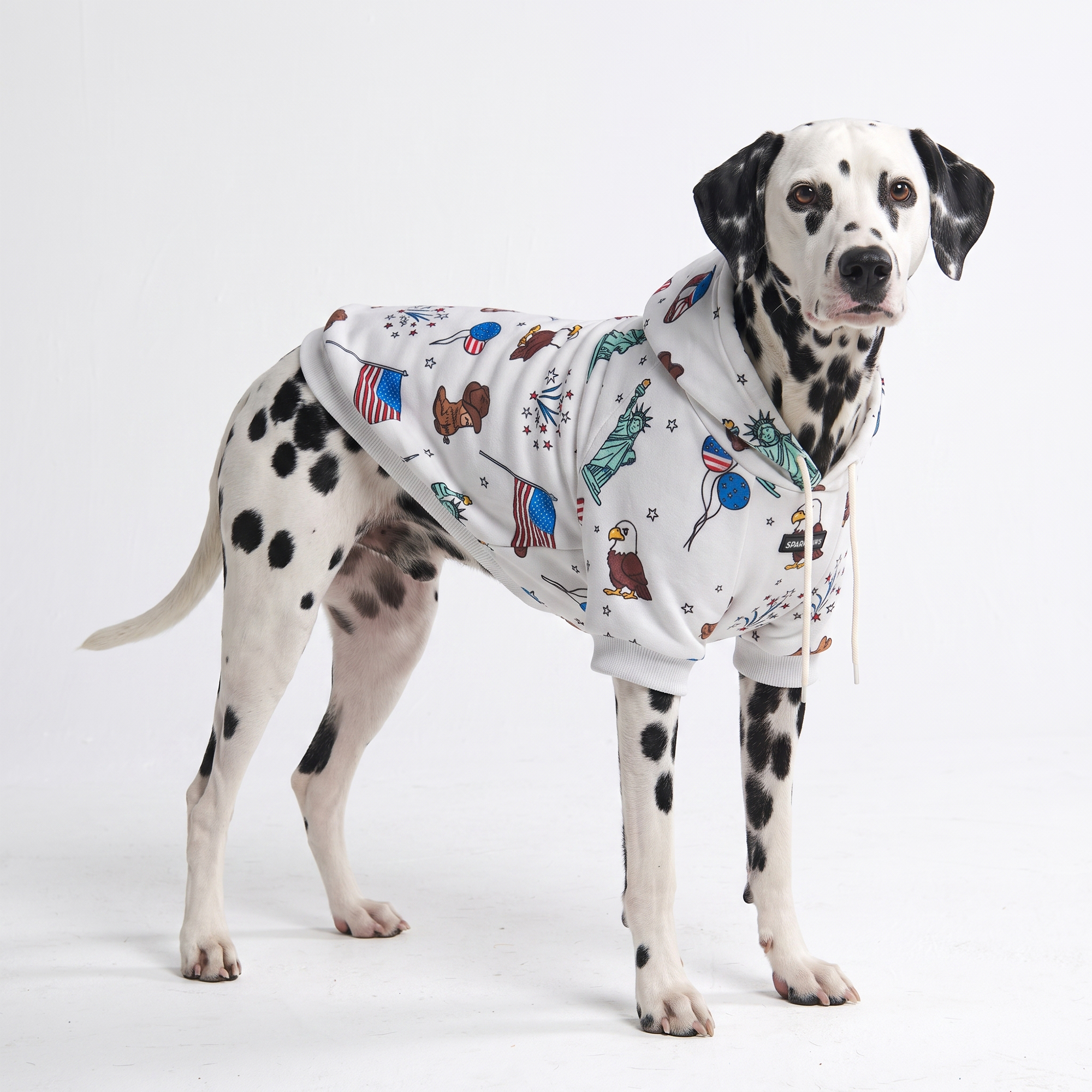 Around the World Dog Hoodies - Image 6