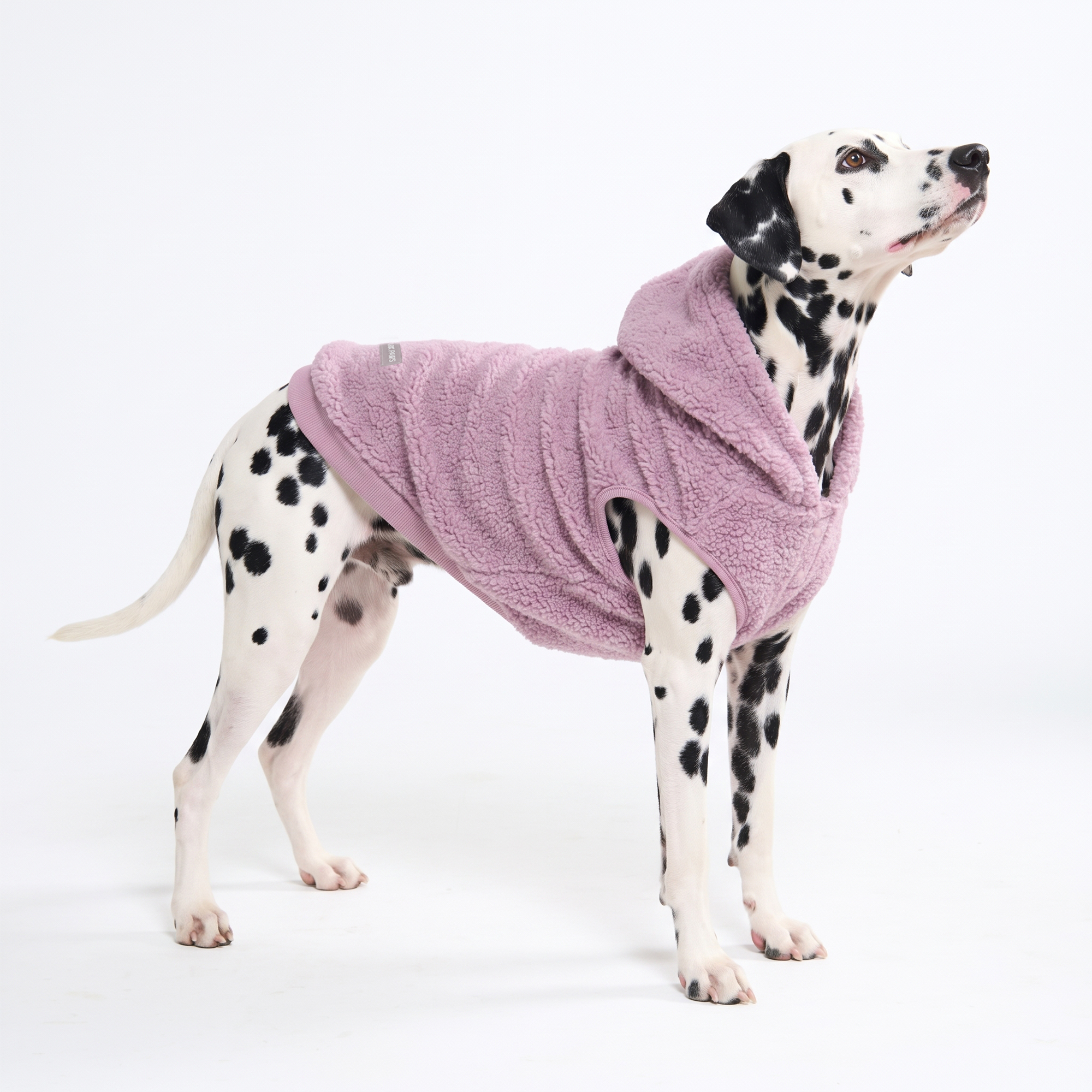 Teddy Sherpa Dog Jacket - Taupe - Image 6