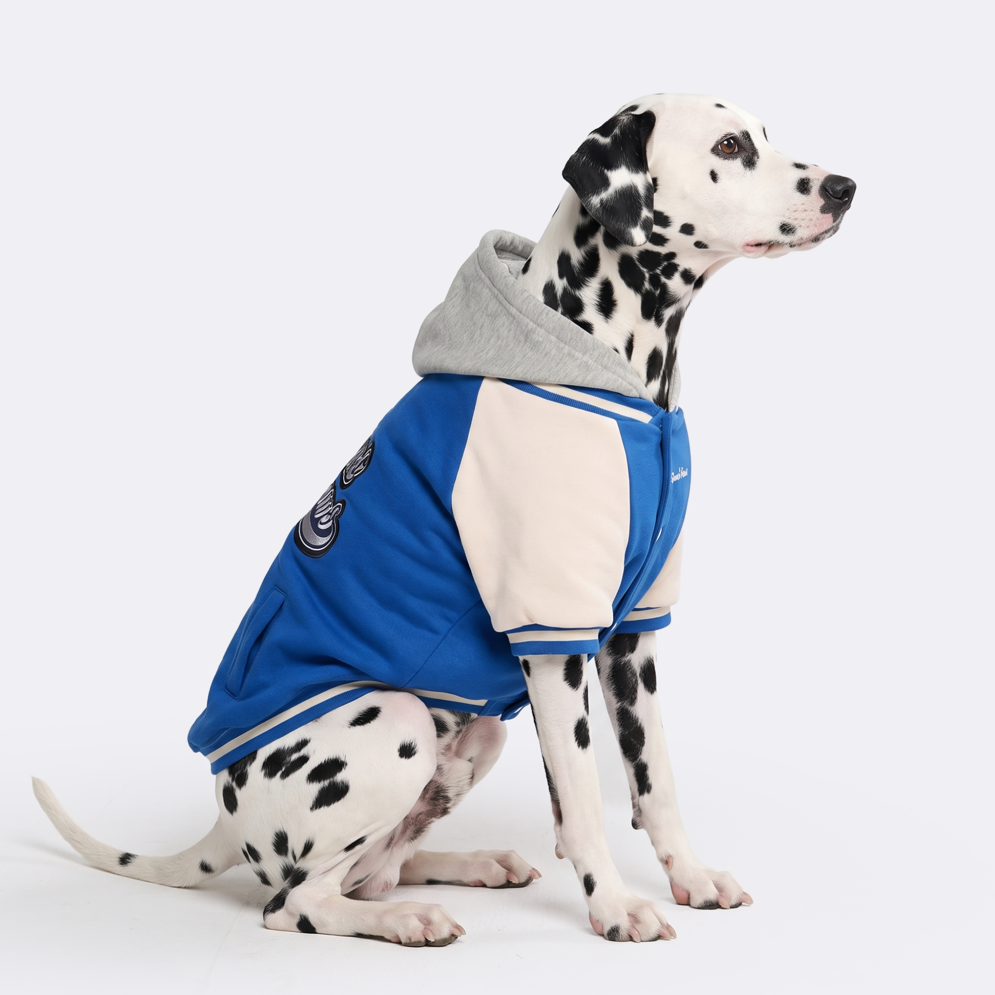 Dog Varsity Jacket - Blue - Image 6