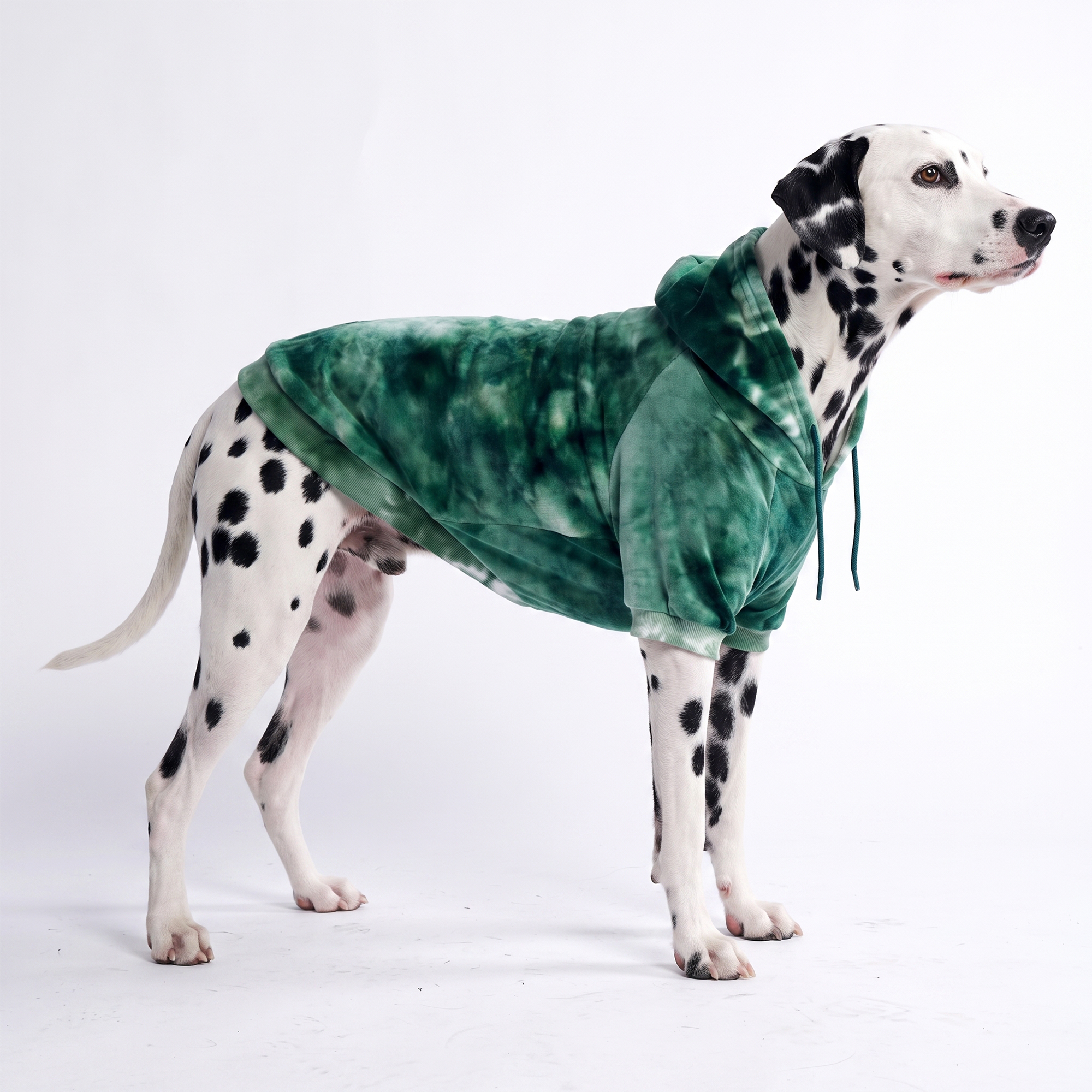 Velvet Dog Hoodie - Emerald Green - Image 7