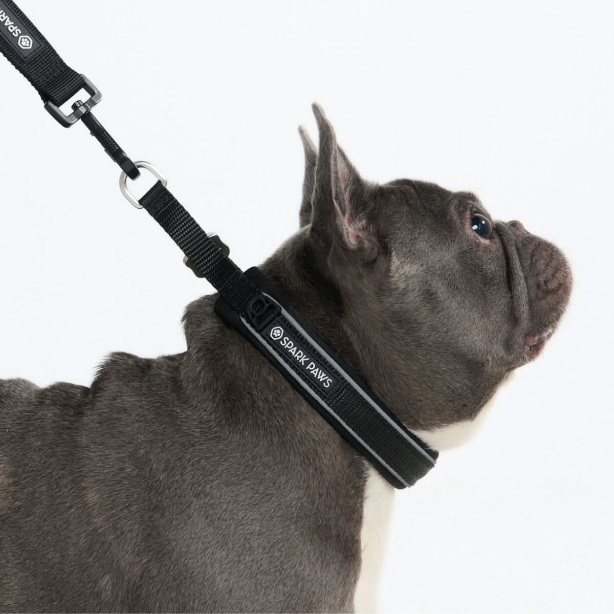 Cushioned Martingale Collar - Black - Image 2