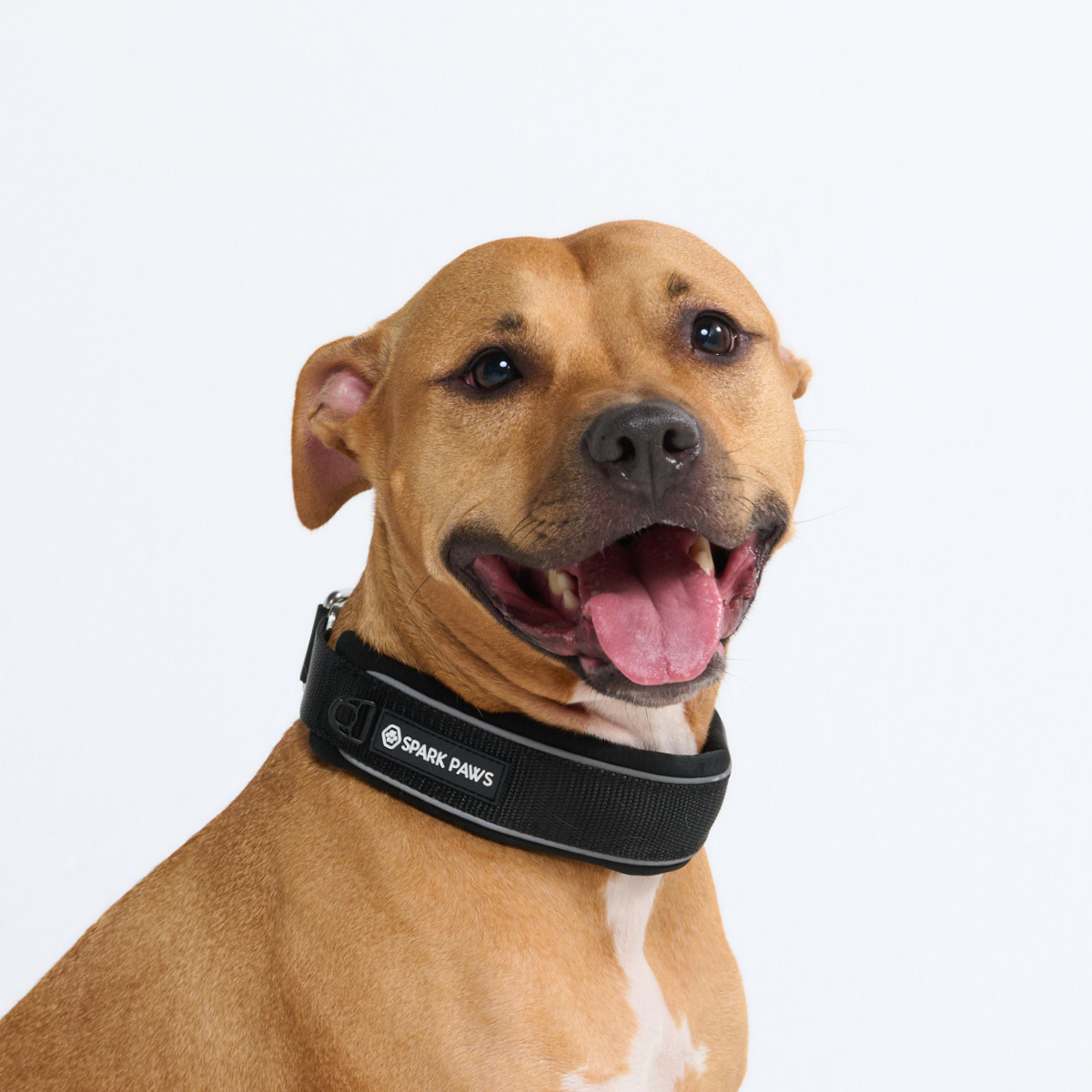Cushioned Martingale Collar - Black - Image 7