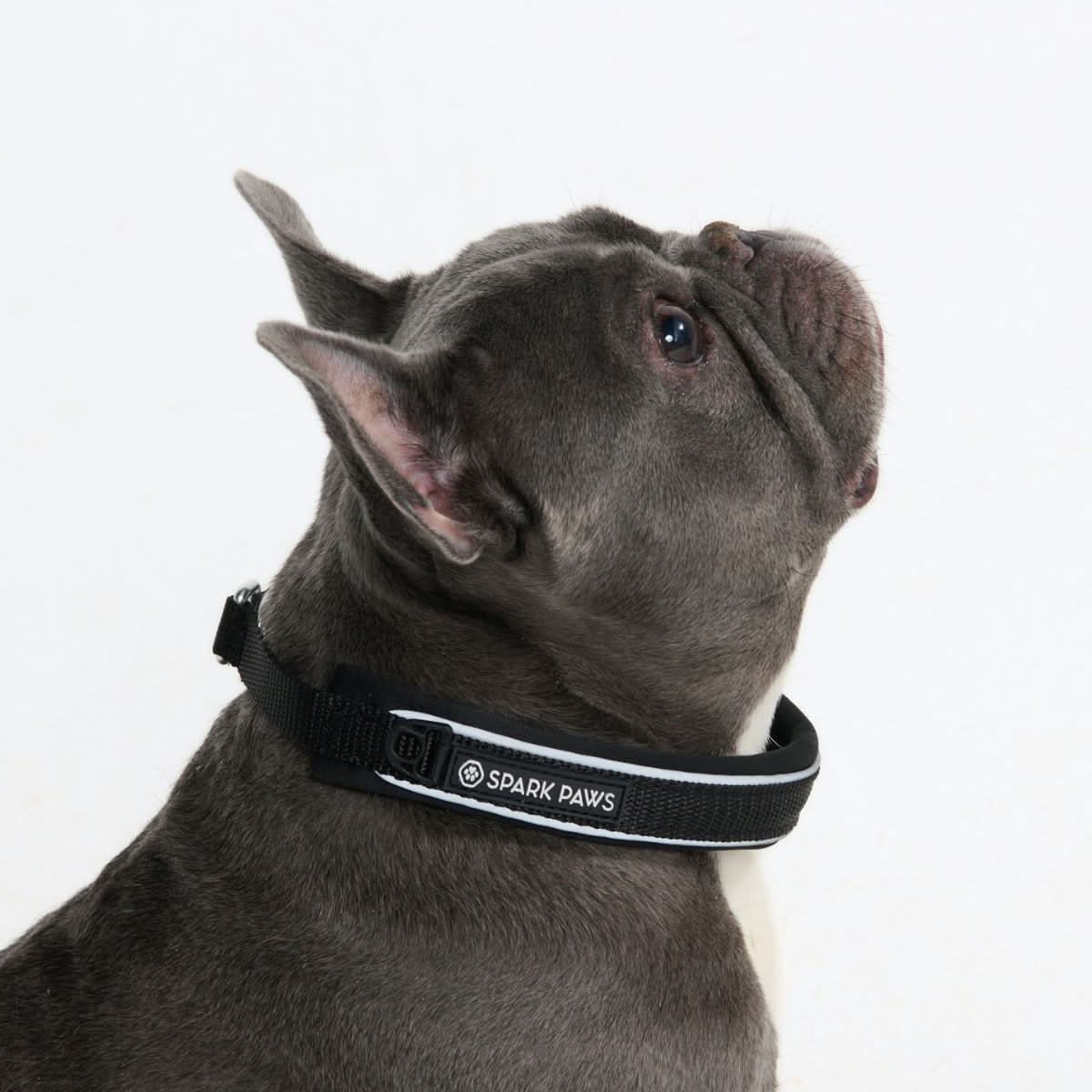 Cushioned Martingale Collar - Black - Image 3