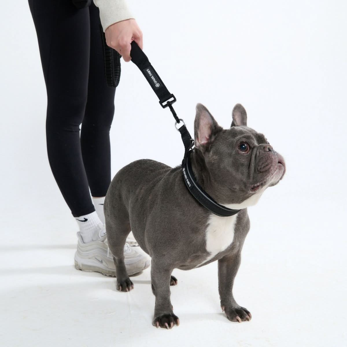 Cushioned Martingale Collar - Black - Image 4