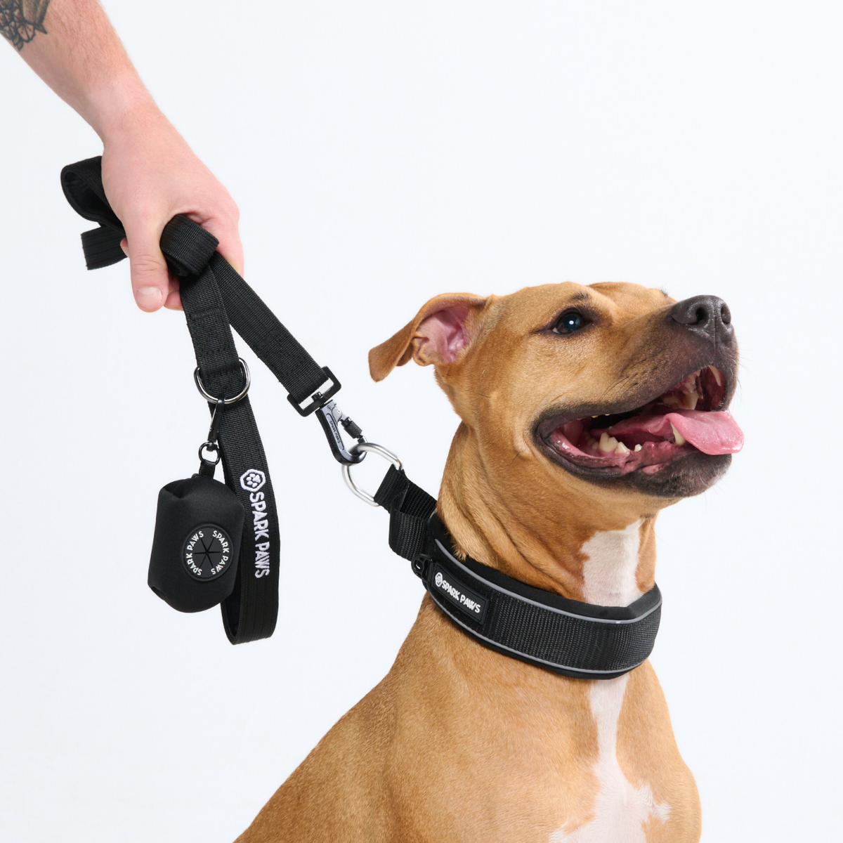 Cushioned Martingale Collar - Black - Image 8