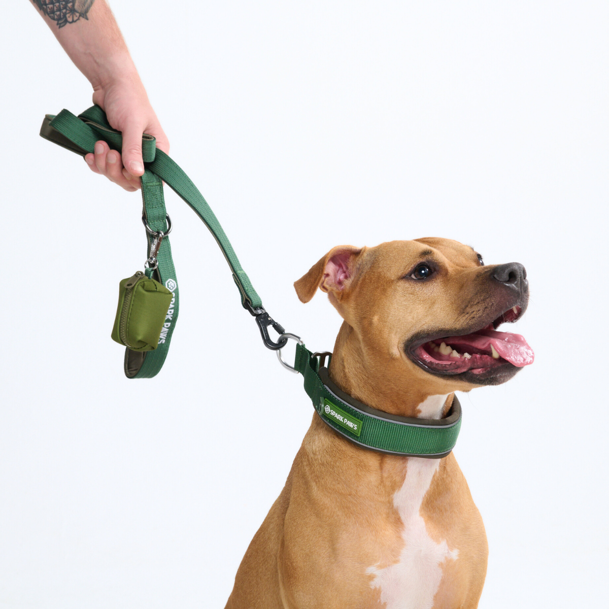 Cushioned Martingale Collar - Army Green - Image 8