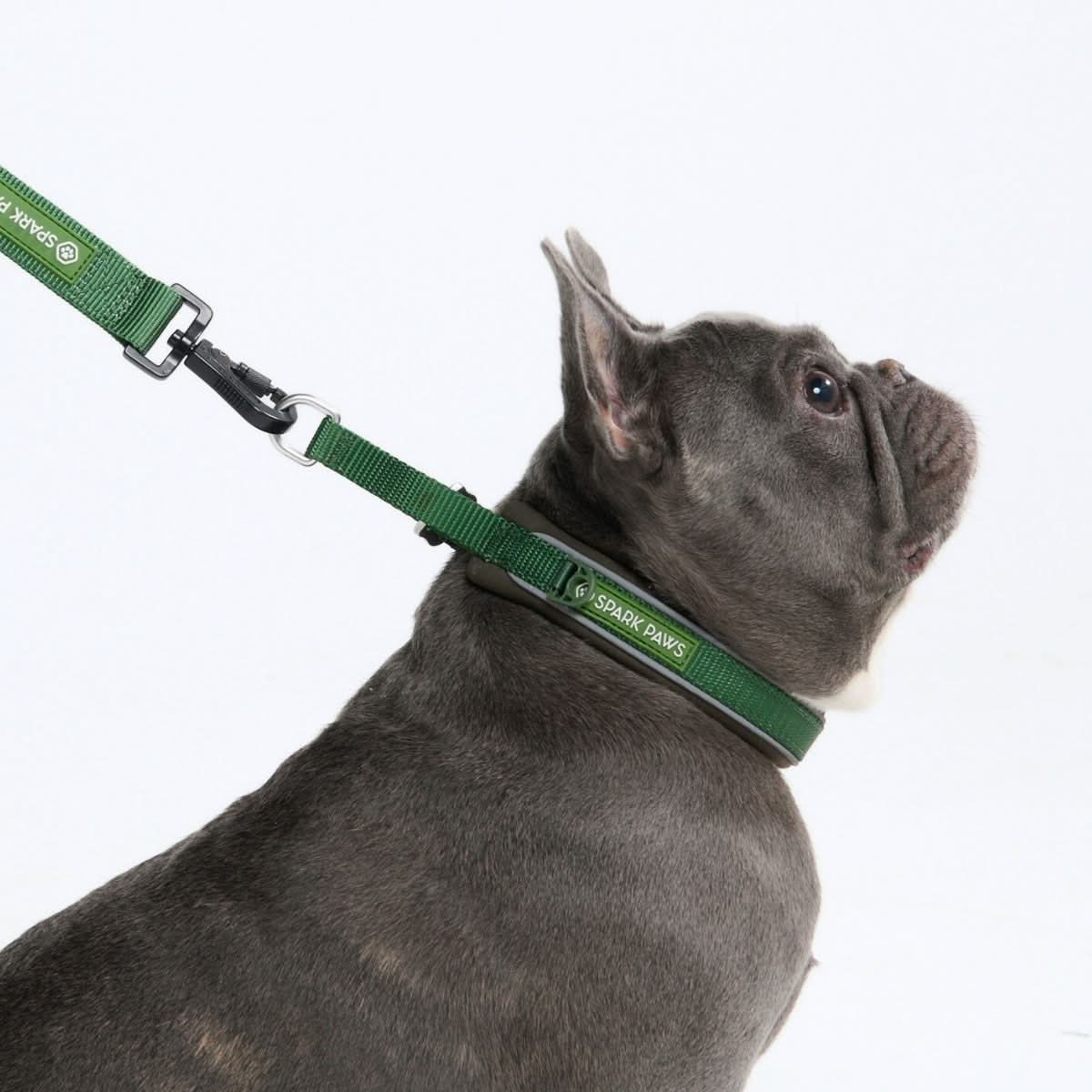 Cushioned Martingale Collar - Army Green - Image 3